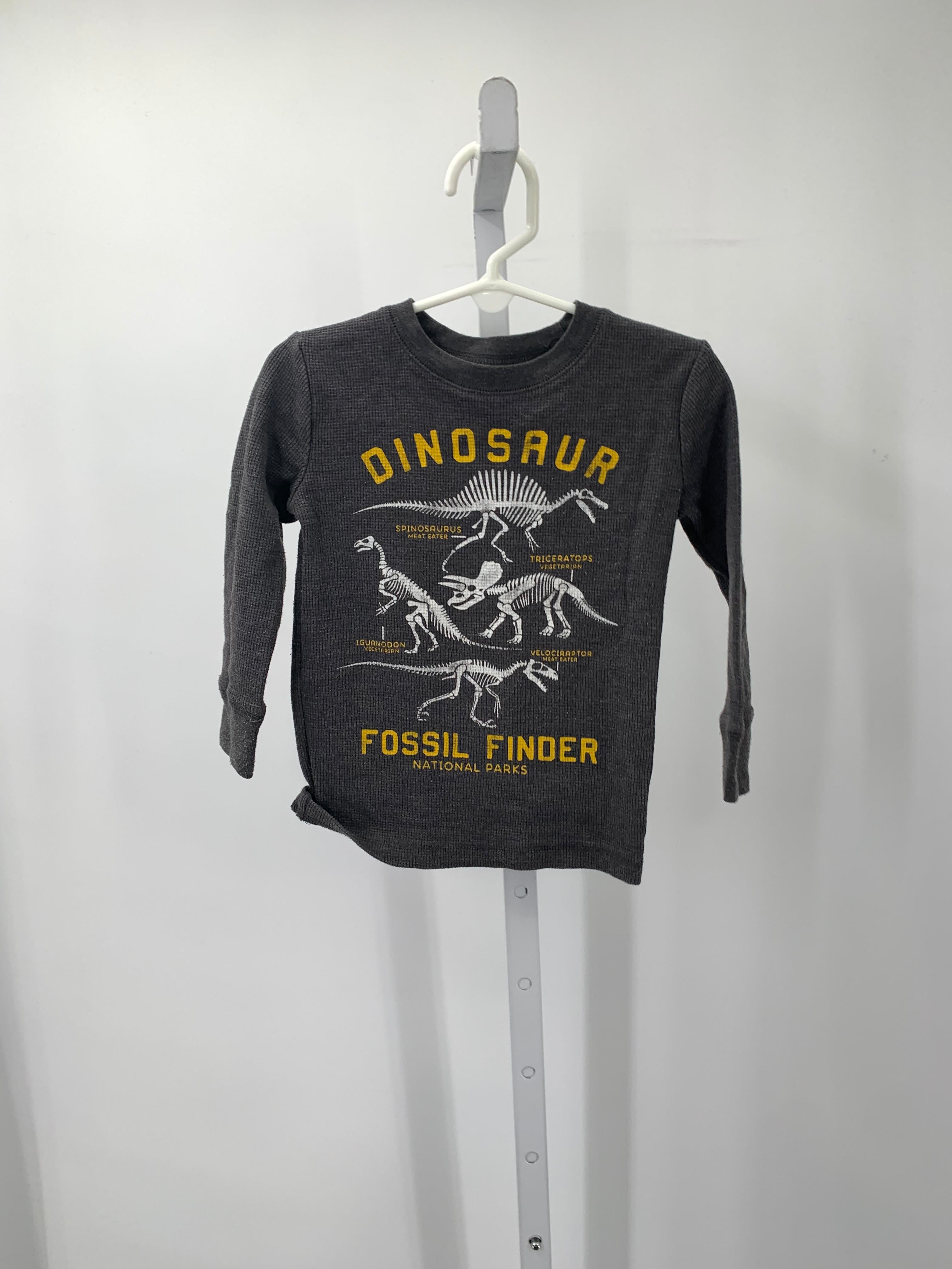 DINOSAUR FOSSIL FINDER