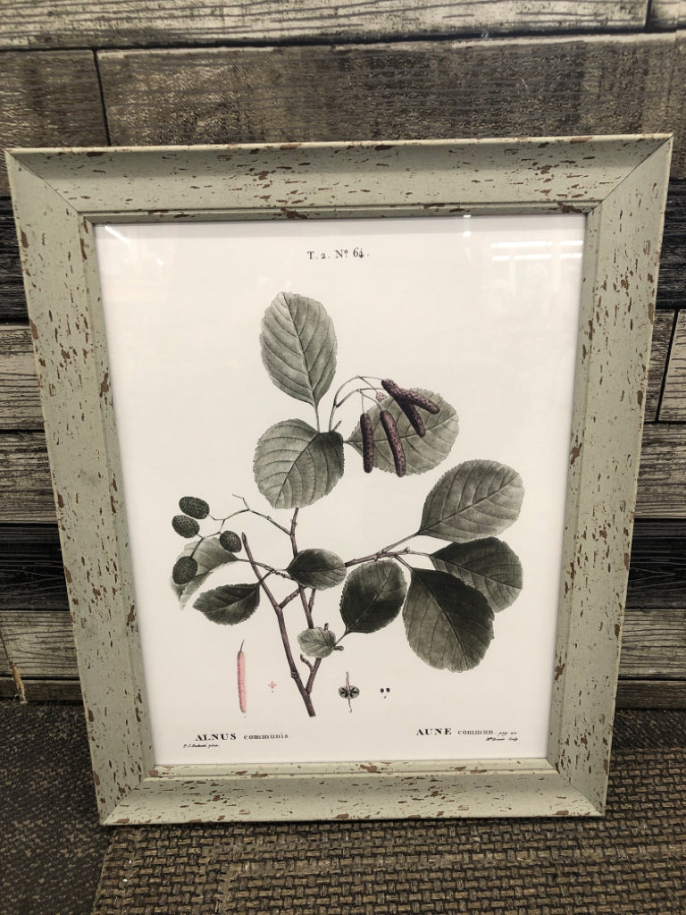 ALNUS COMMUNIS FLOWER PRINT IN RUSTIC GREY WOOD FRAME.