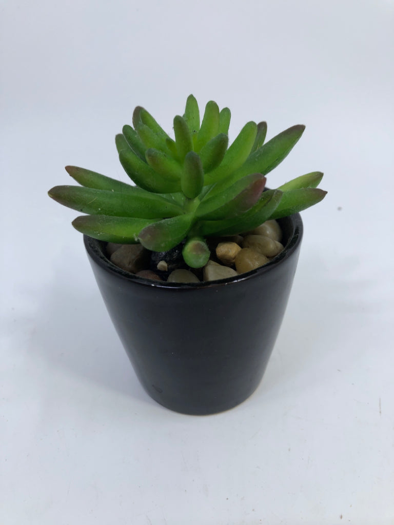 FAUX SUCCULENT IN BLACK CERAMIC POT.