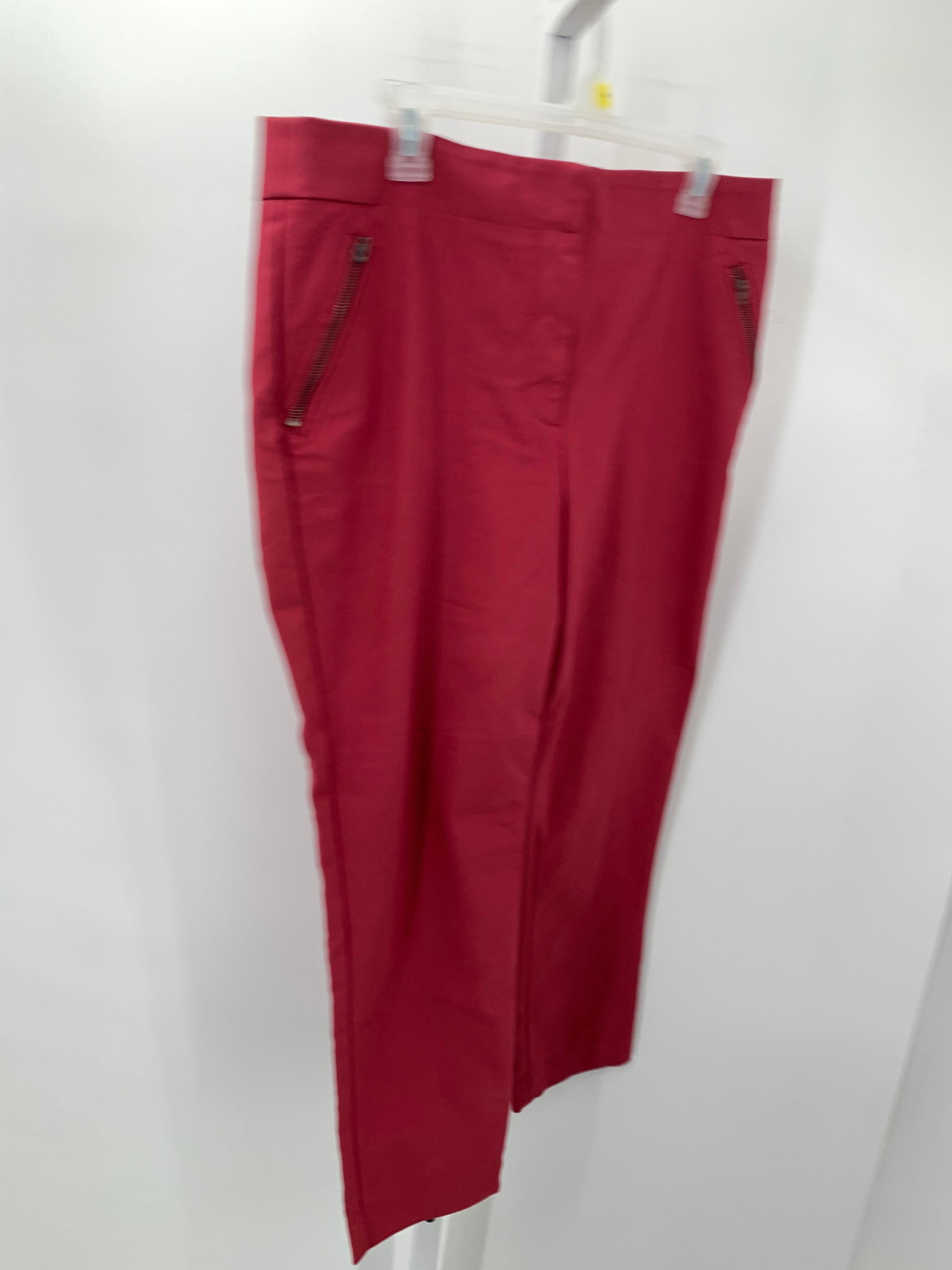 Loft Size 12 Misses Pants