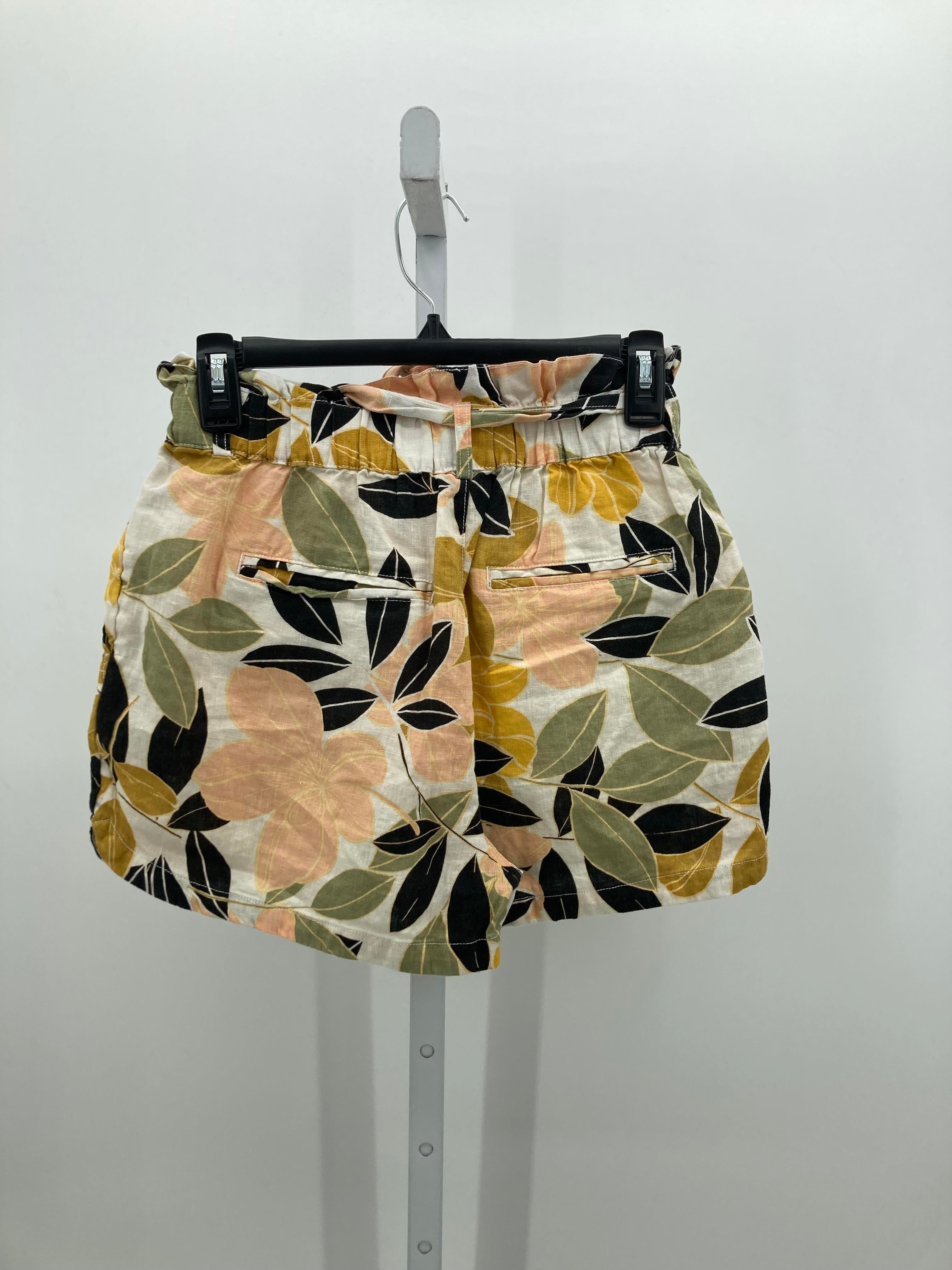 Rachel Zoe Size Small Misses Shorts