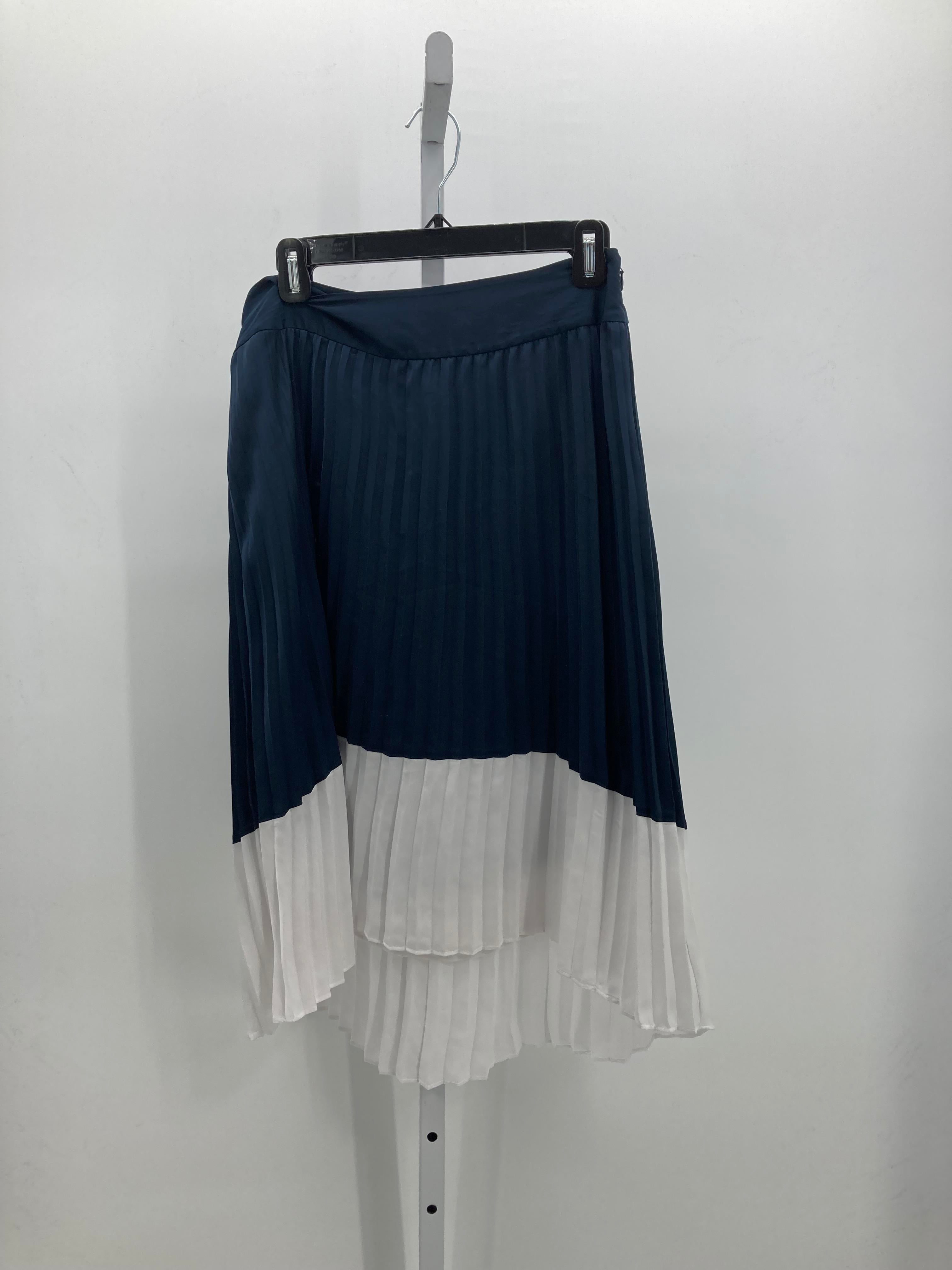 Ann Taylor Size 6 Misses Skirt