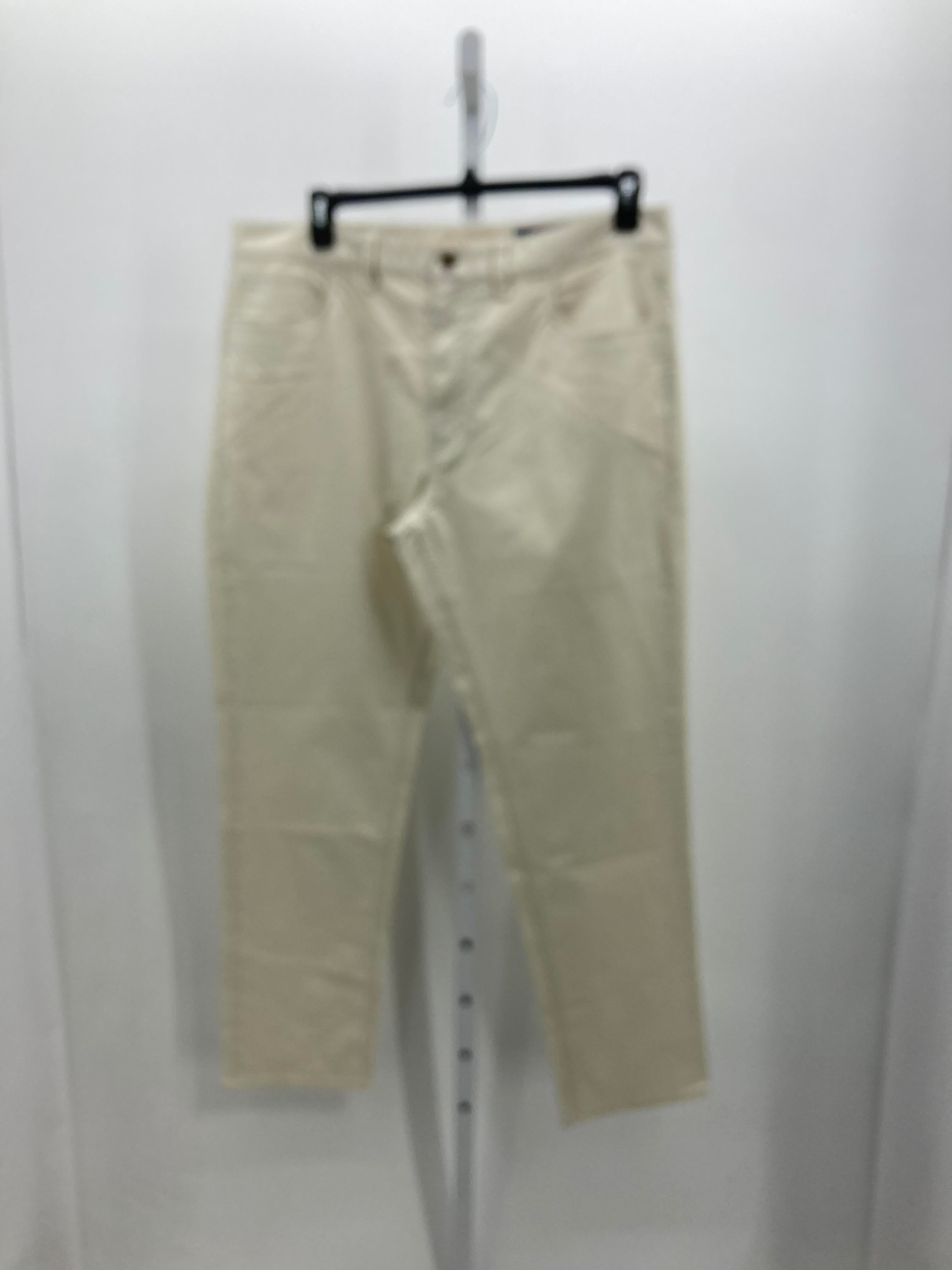 REGULAR FIT PANTS