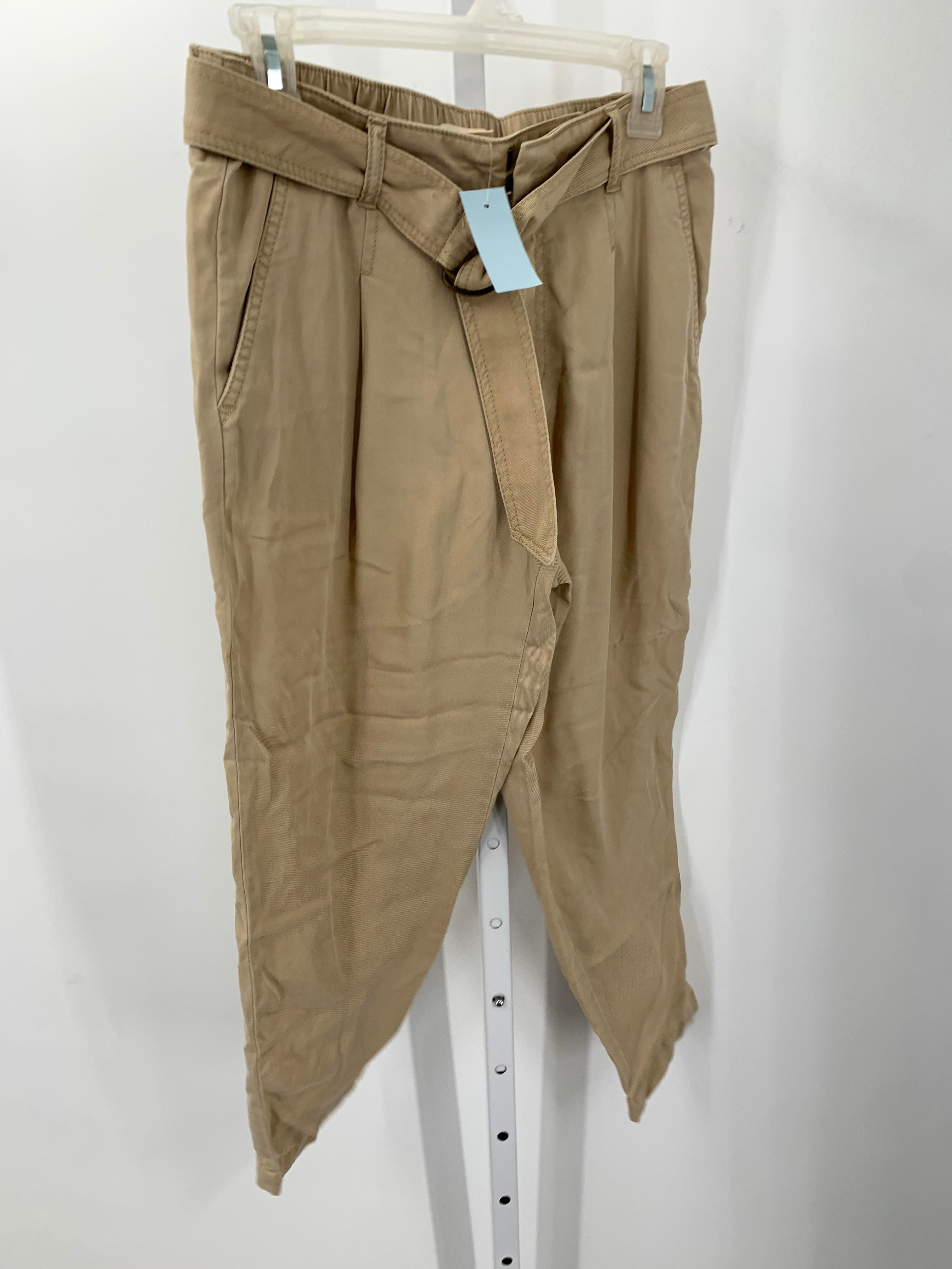 Loft Size Small Petite Petite Pants