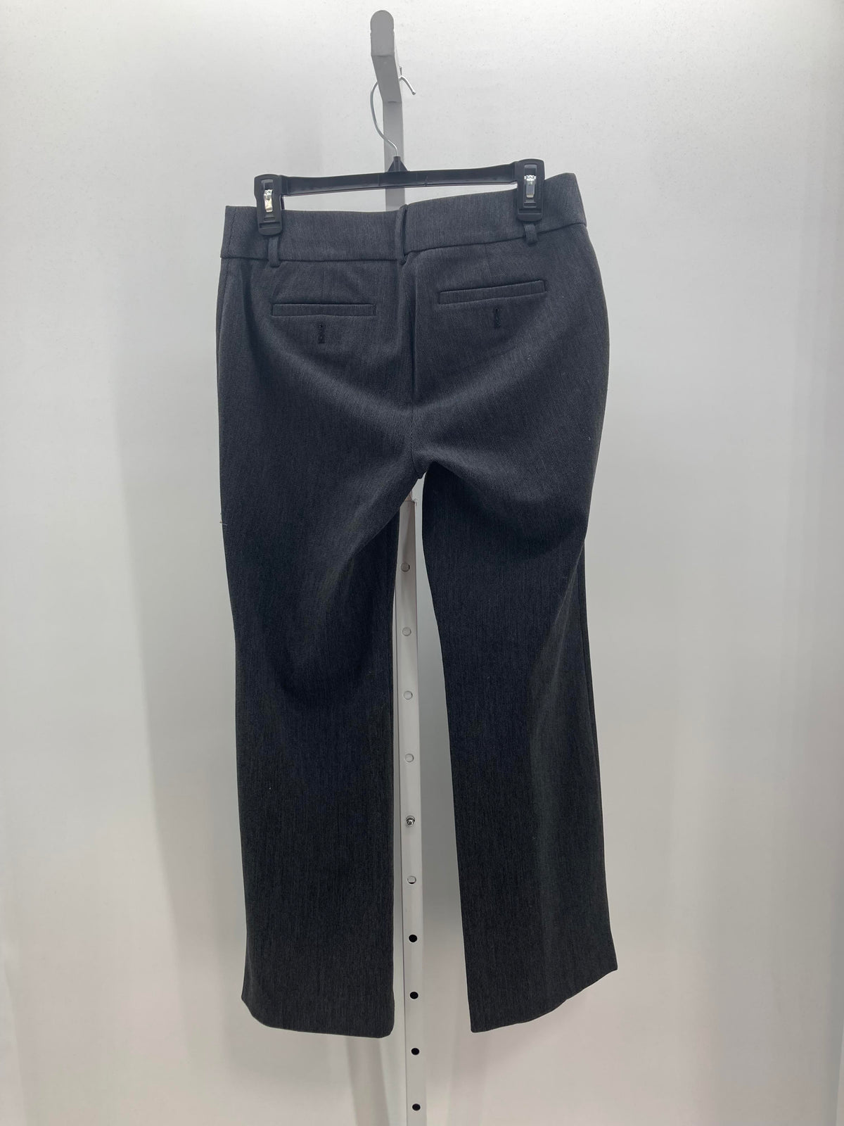 Loft Size 4 Petite Petite Pants