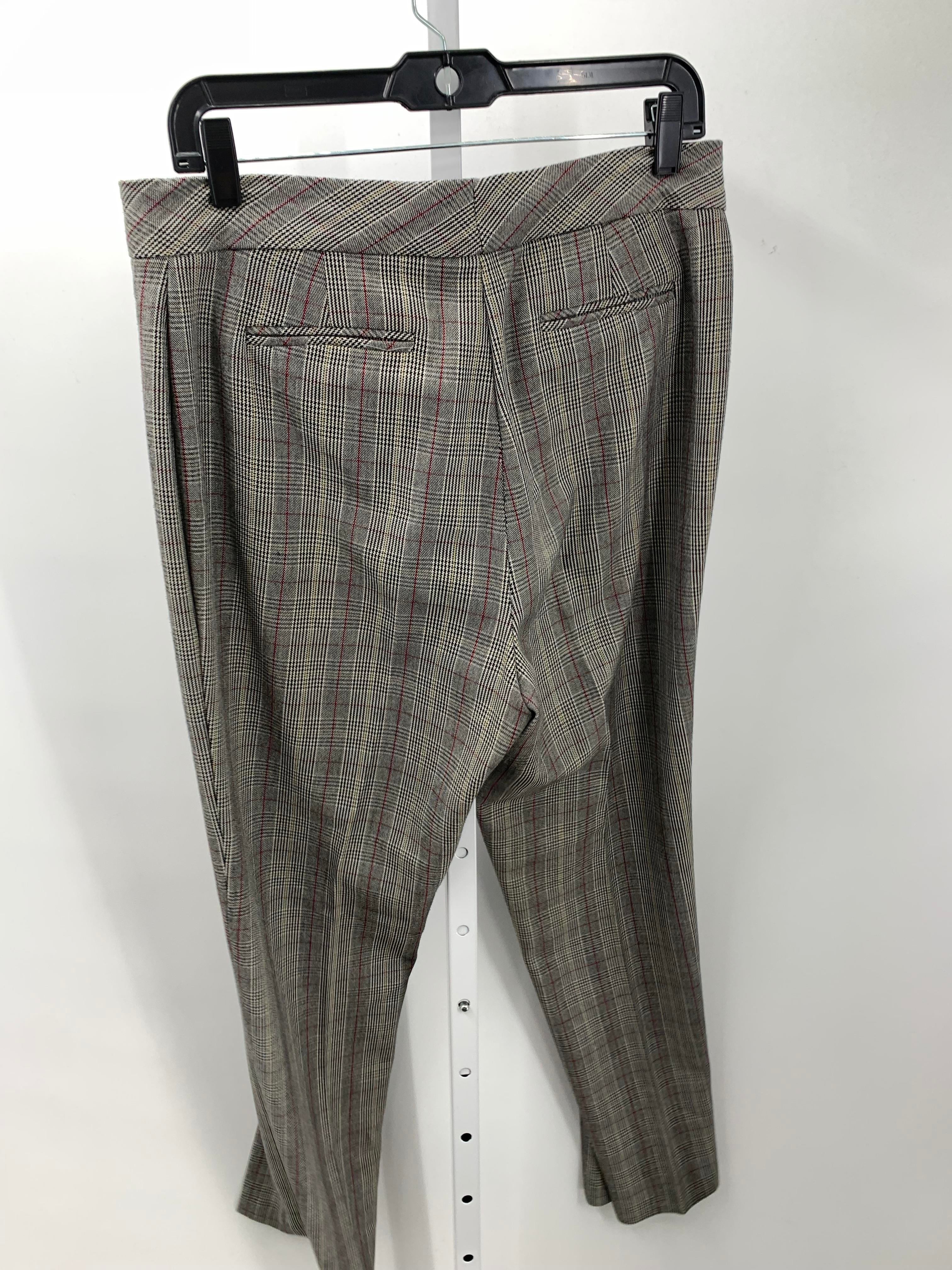 Counterparts Size 10 Misses Pants