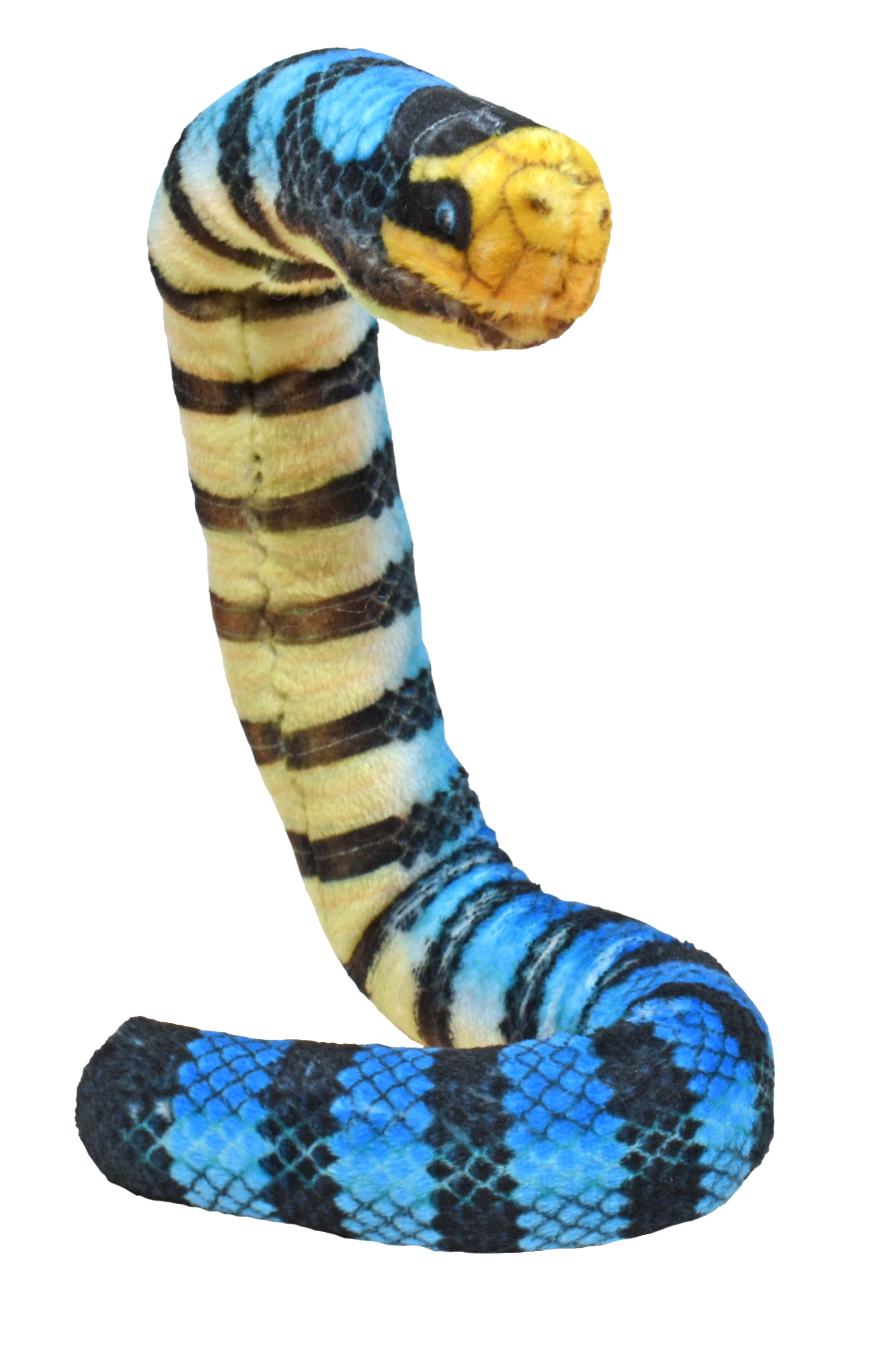 Coilkins Yellow Lipped Sea Snake