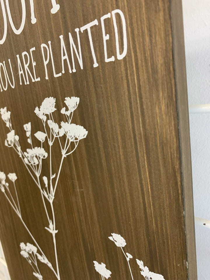 BLOOM WHERE YOUR'RE PLANTED WOOD WALL-HANGING.