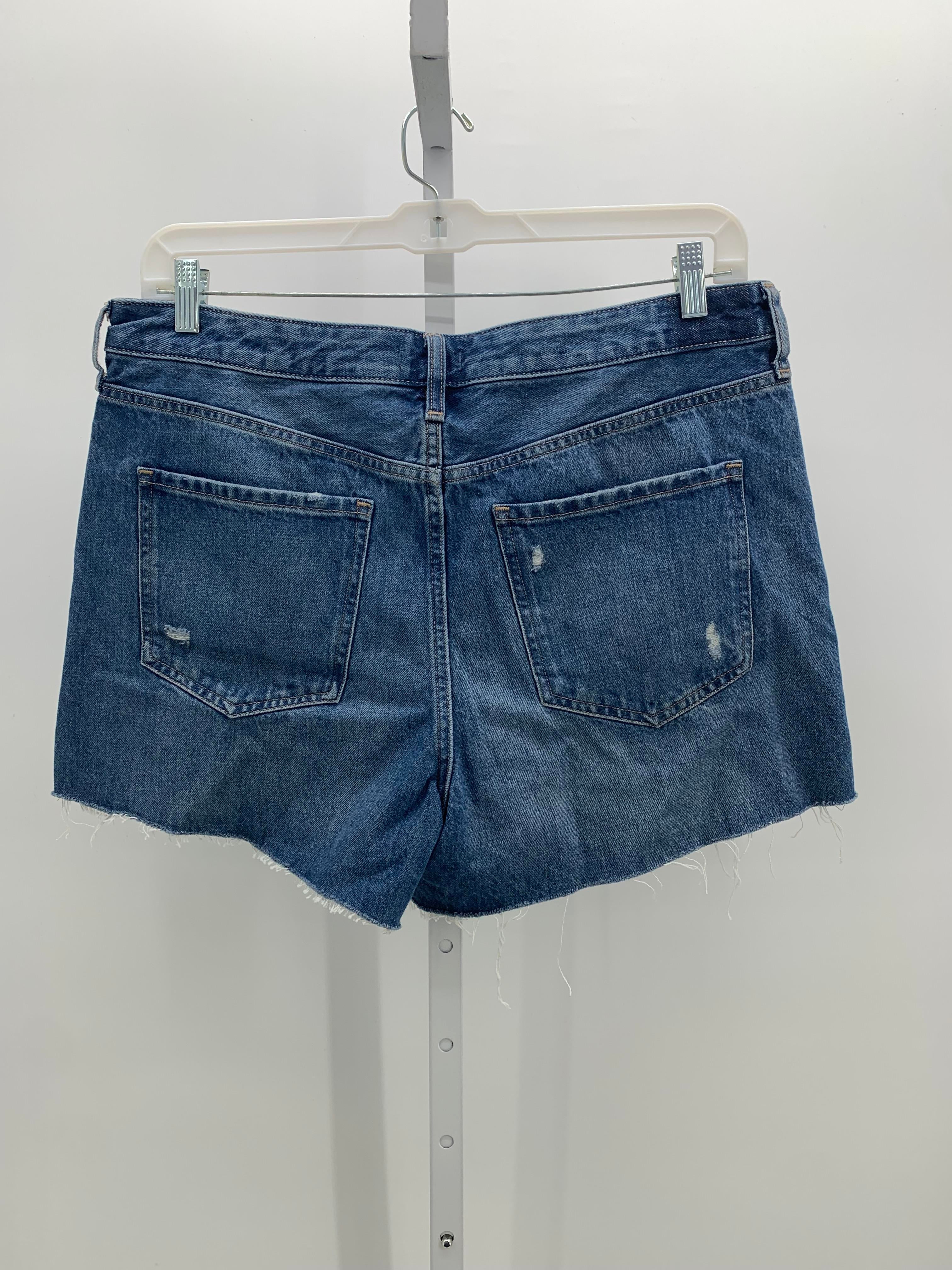 Express Size 14 Misses Shorts