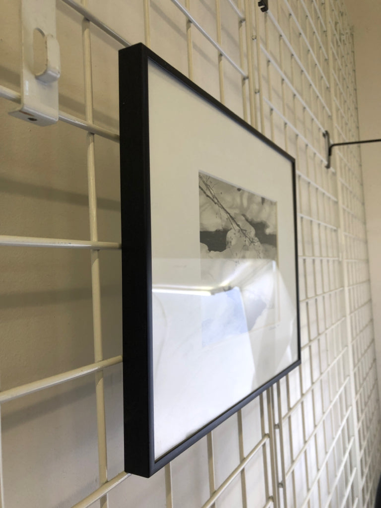 BRANCHES IN SNOW FRAMED PHOTO- SIGNED.