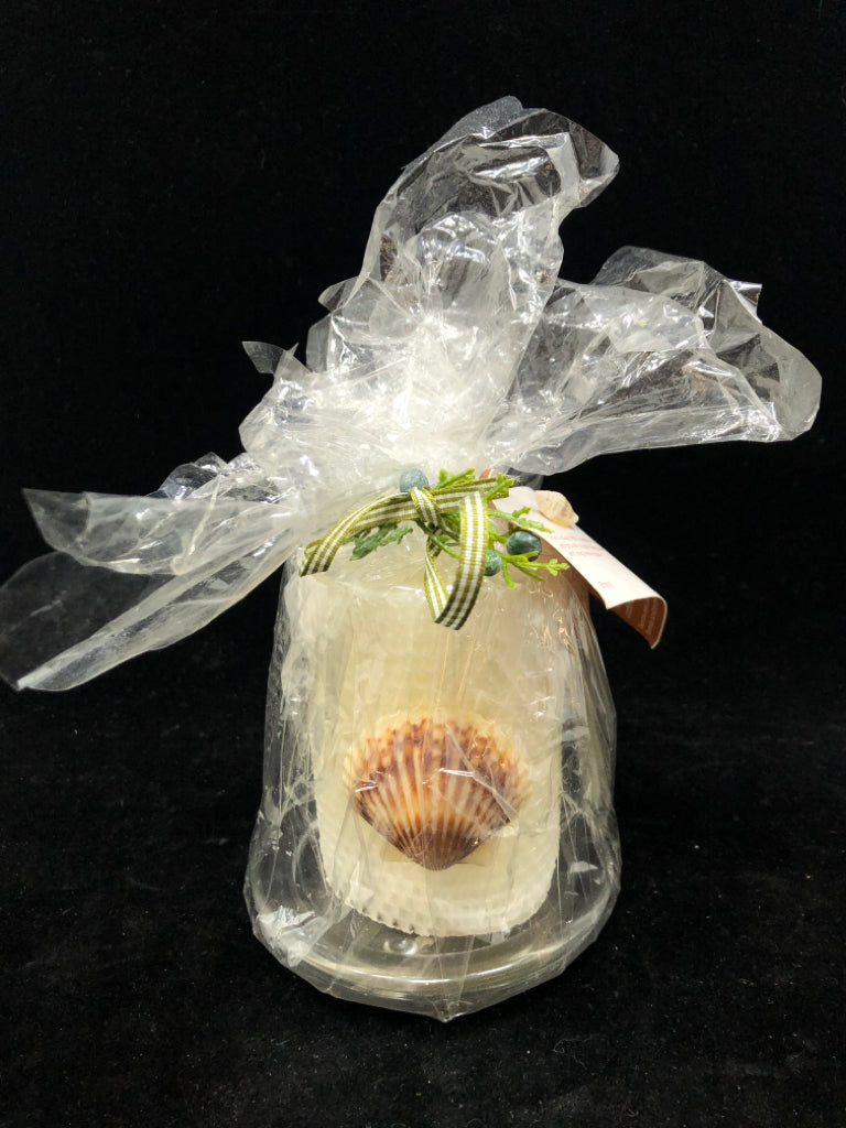 SEASHELL CANDLE ON GLASS BASE.