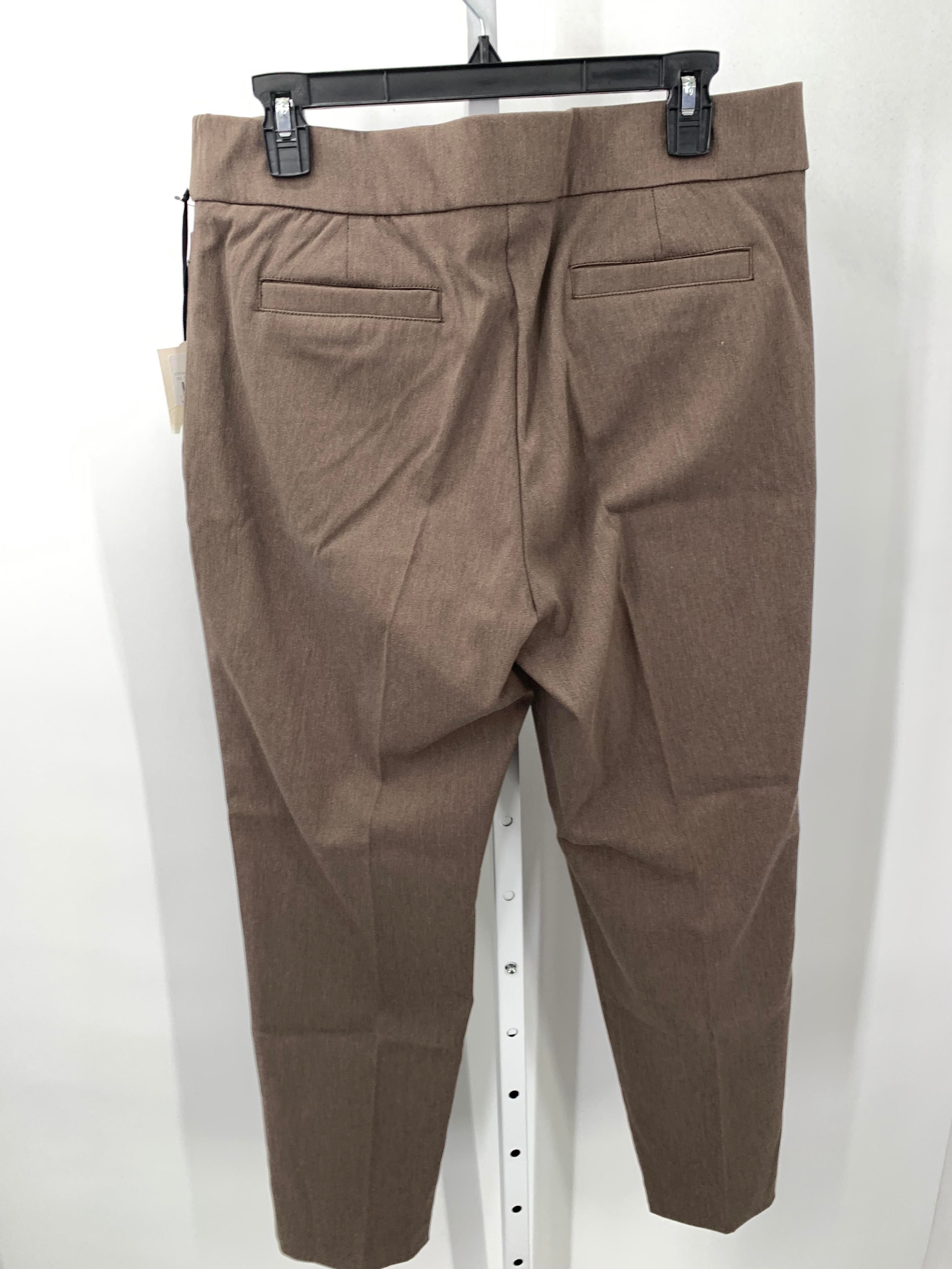 Size 14 Petite Petite Pants