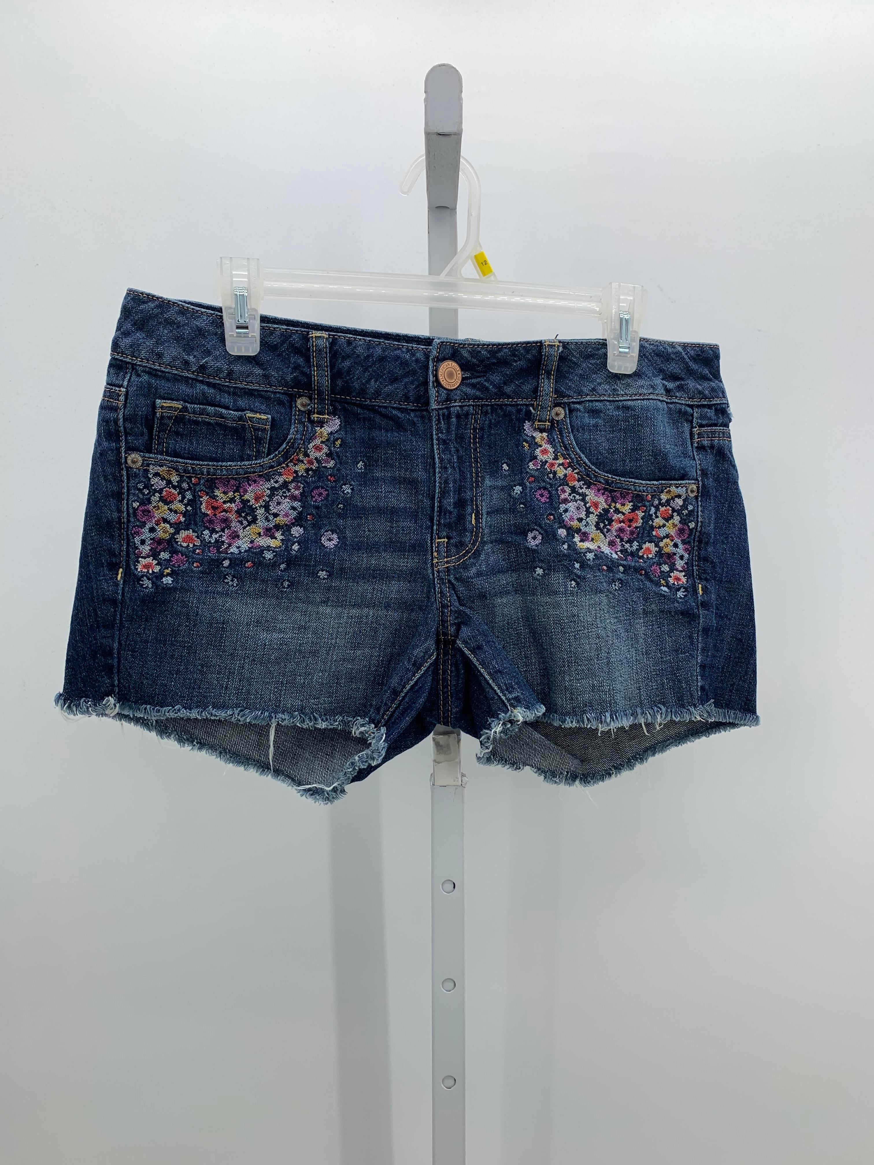 American Eagle Size 10 Juniors Shorts