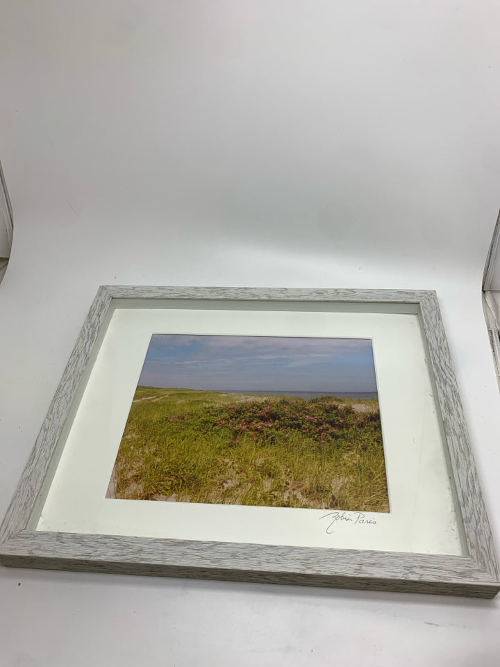 FRAMED BEACHSIDE WILDFLOWERS SIGNED PRINT.