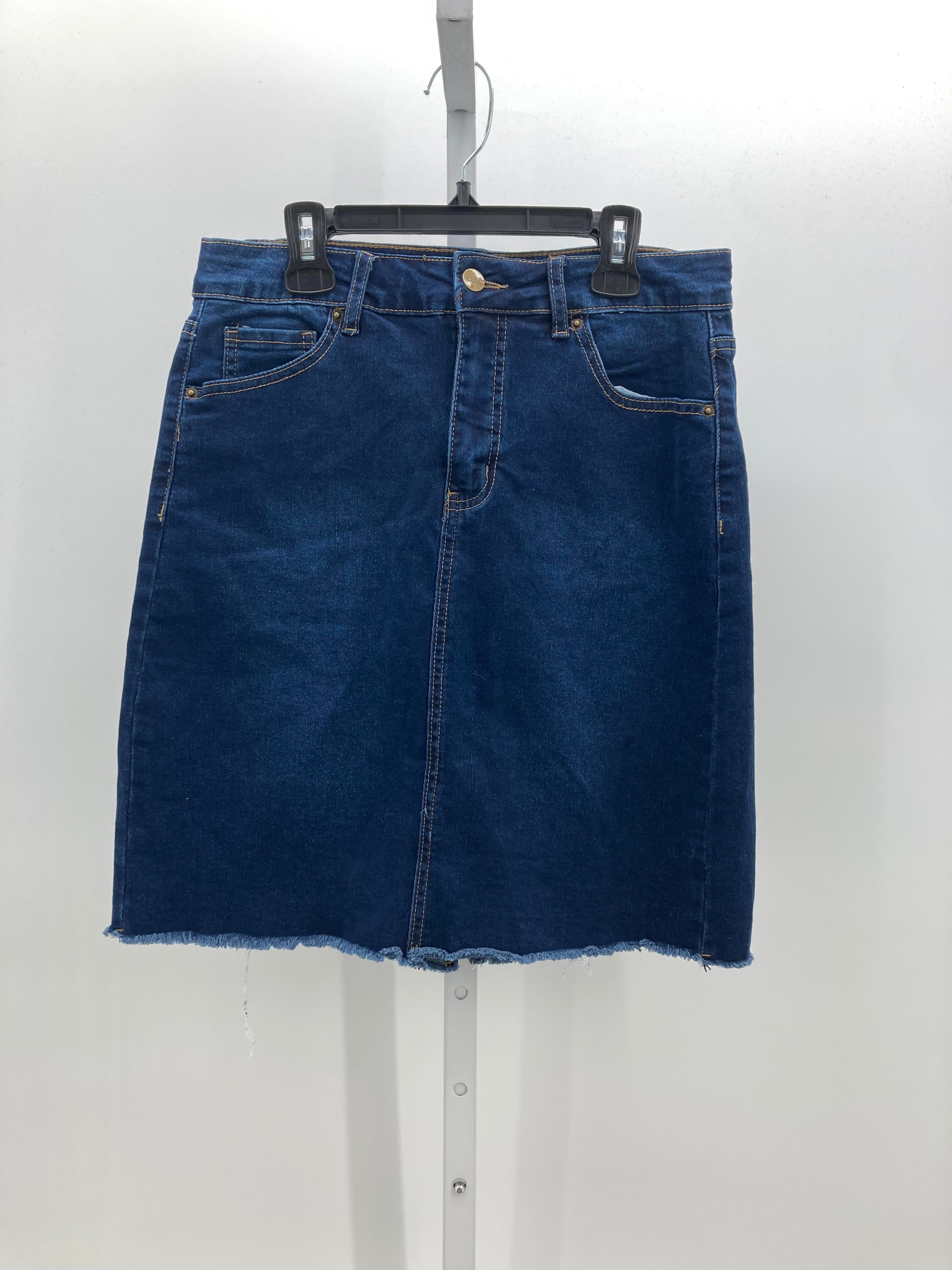 BLEU Size 6 Misses Skirt