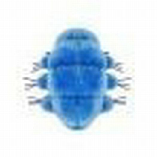GIANT Microbes Waterbear