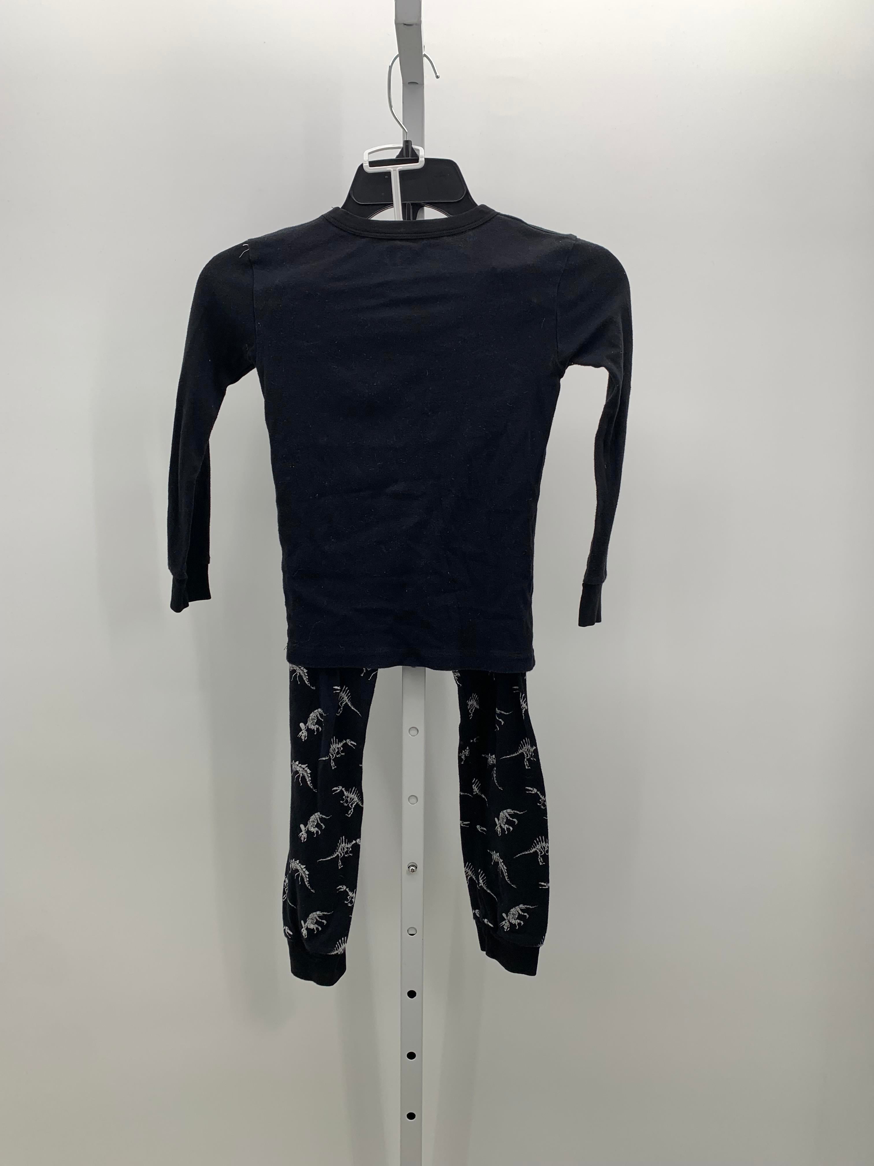 PJS T-REX FOSSILS.