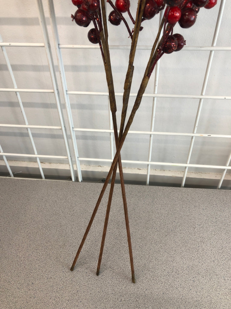 3 RED BERRY STEMS.