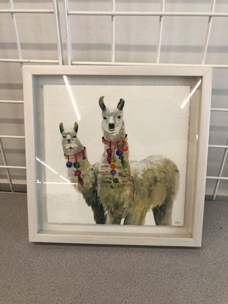 TWO LAMAS PRINT IN WHITE SHADOWBOX.