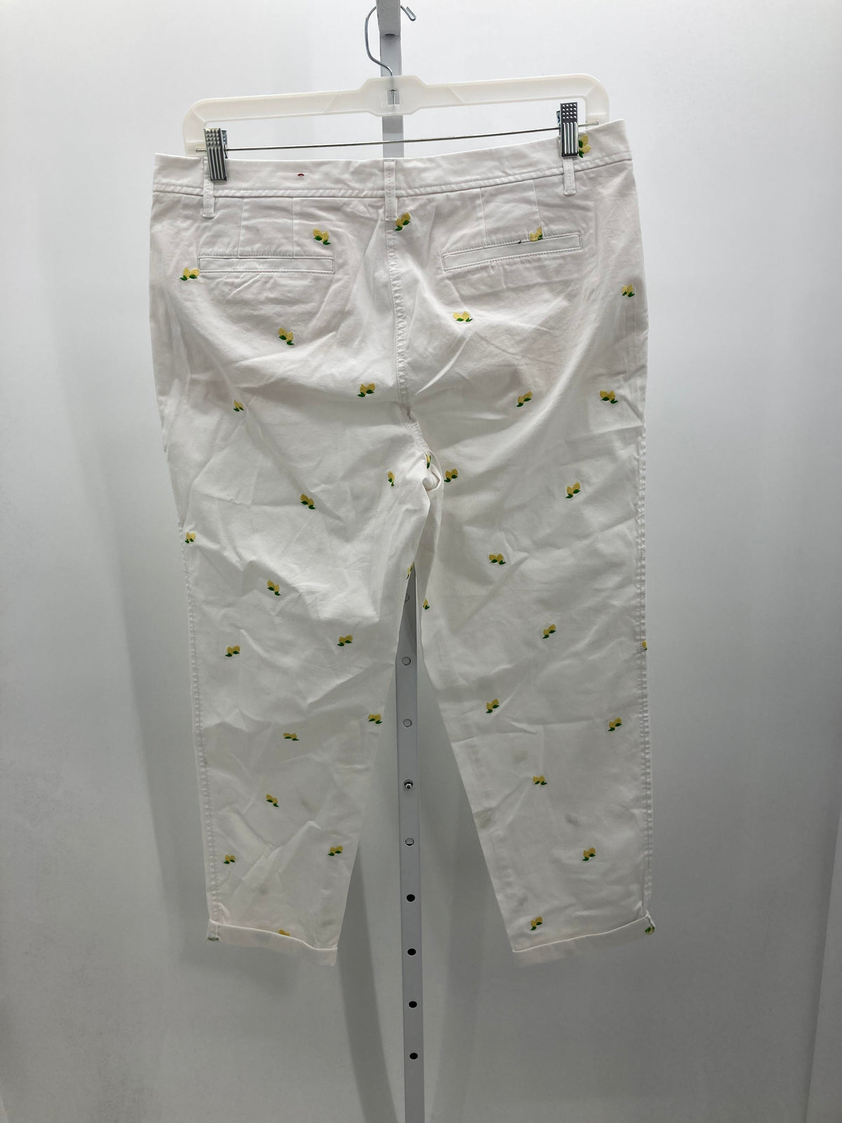 Talbots Size 14 Misses Pants