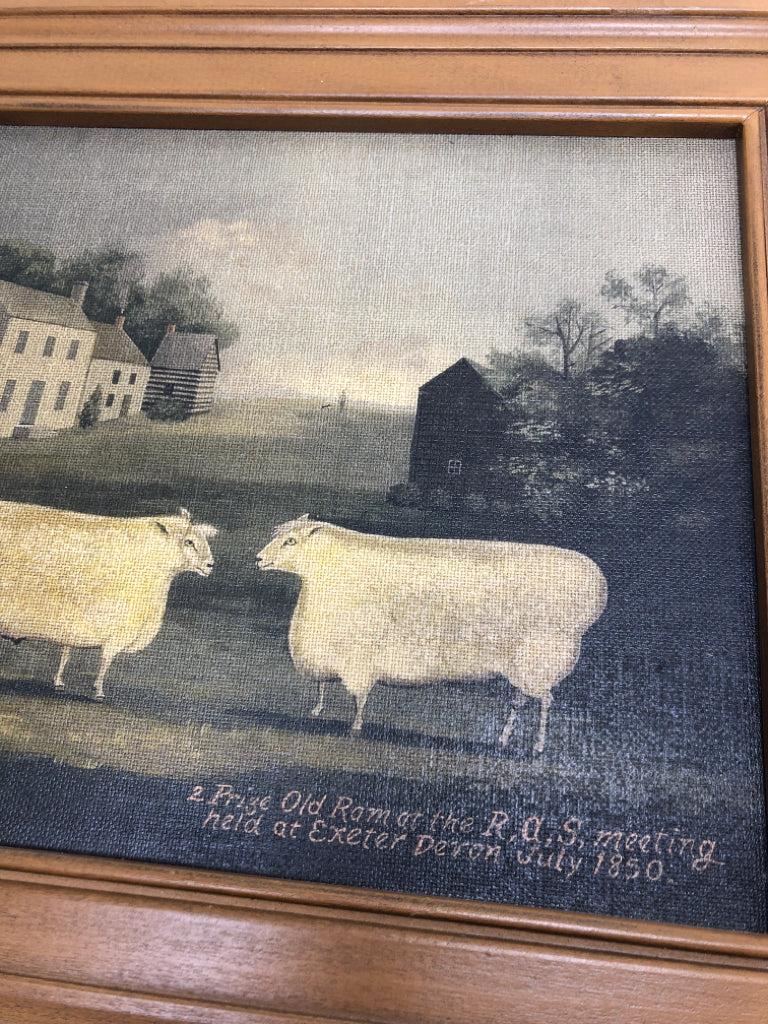 2 PRIZE OLD RAM AT THE RAS MEETING FRAMED CANVAS.