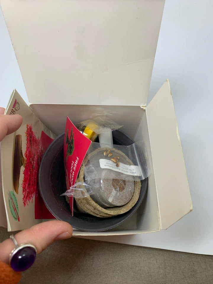 NIB EASY BONSAI STARTER KIT.
