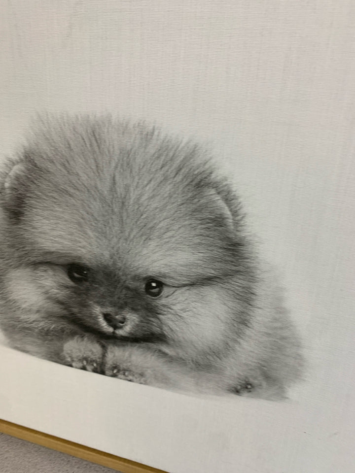 PUPPY PHOTO ON CANVAS IN WOOD FRAME.