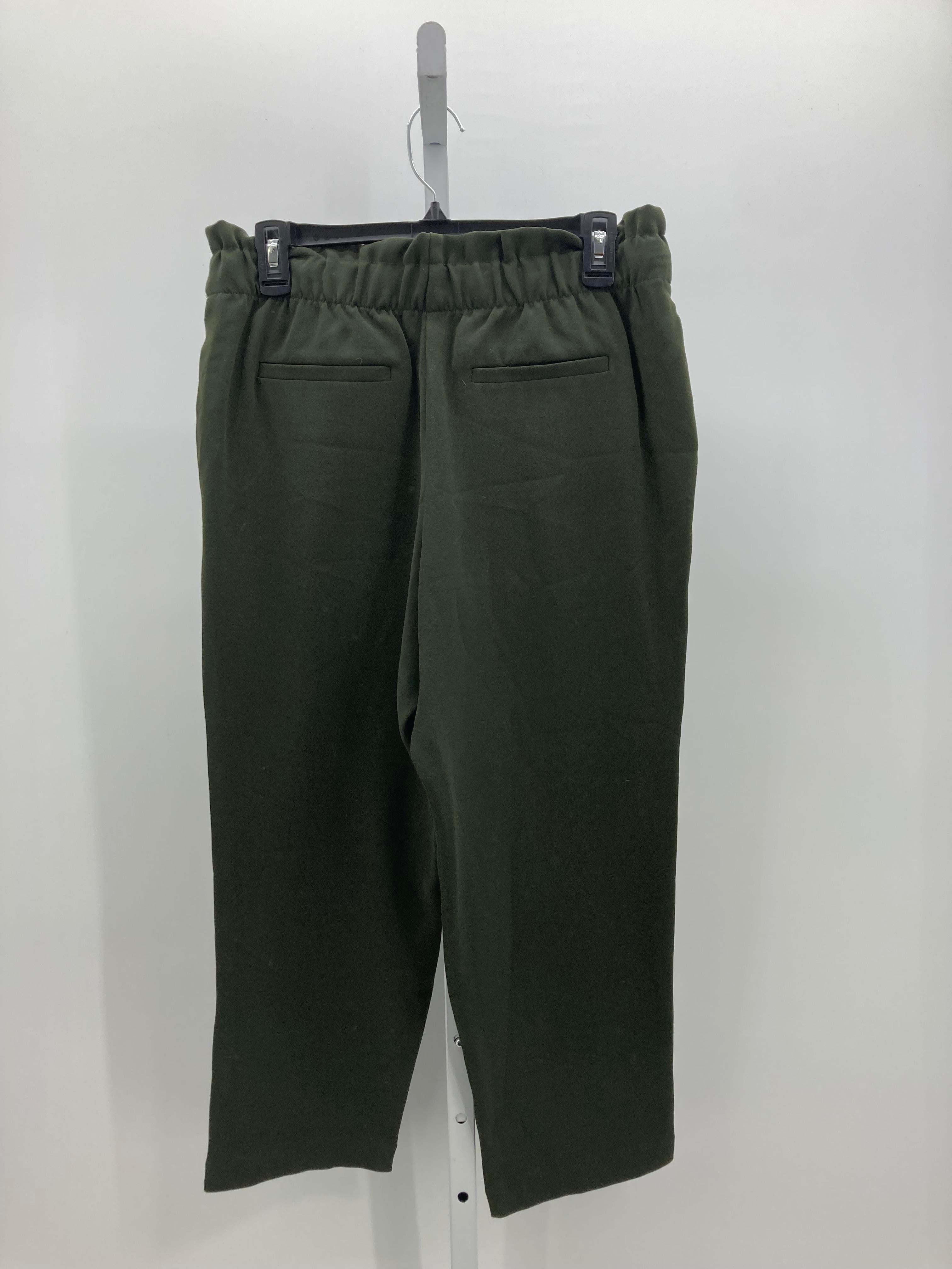 Loft Size Medium Petite Petite Pants
