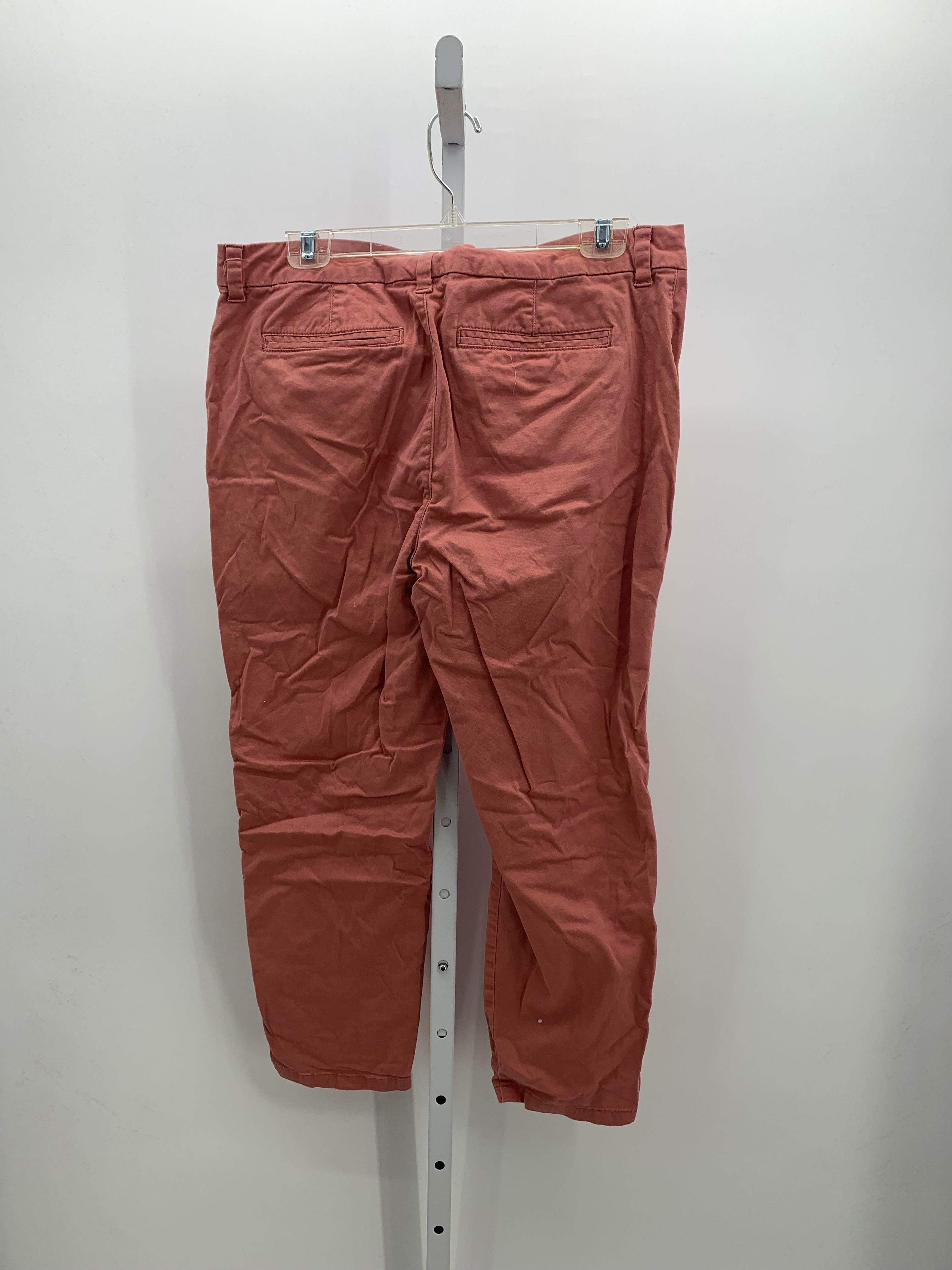 Style & Co. Size 14 Petite Petite Pants