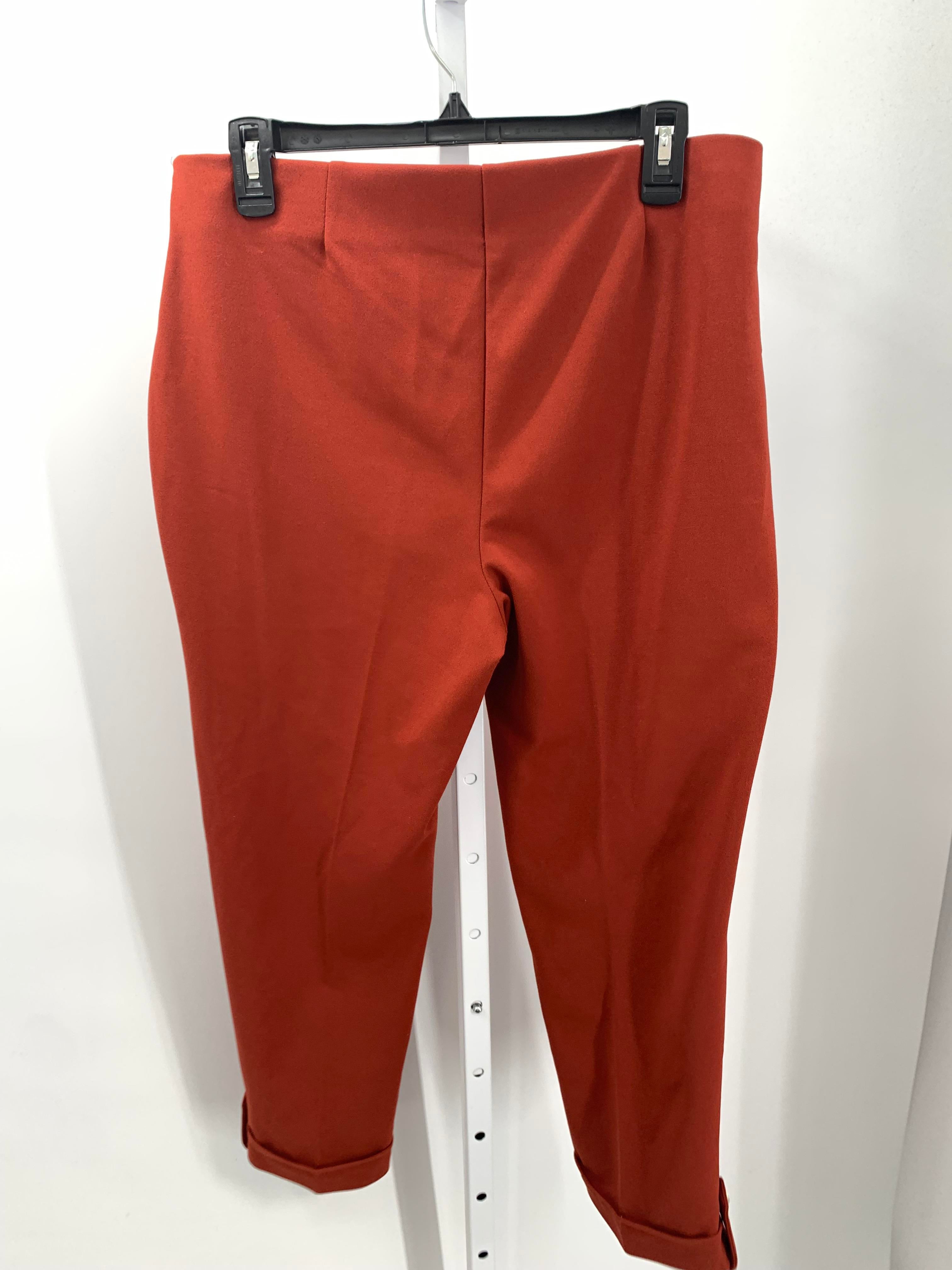 NYCC Size 12 Petite Petite Pants