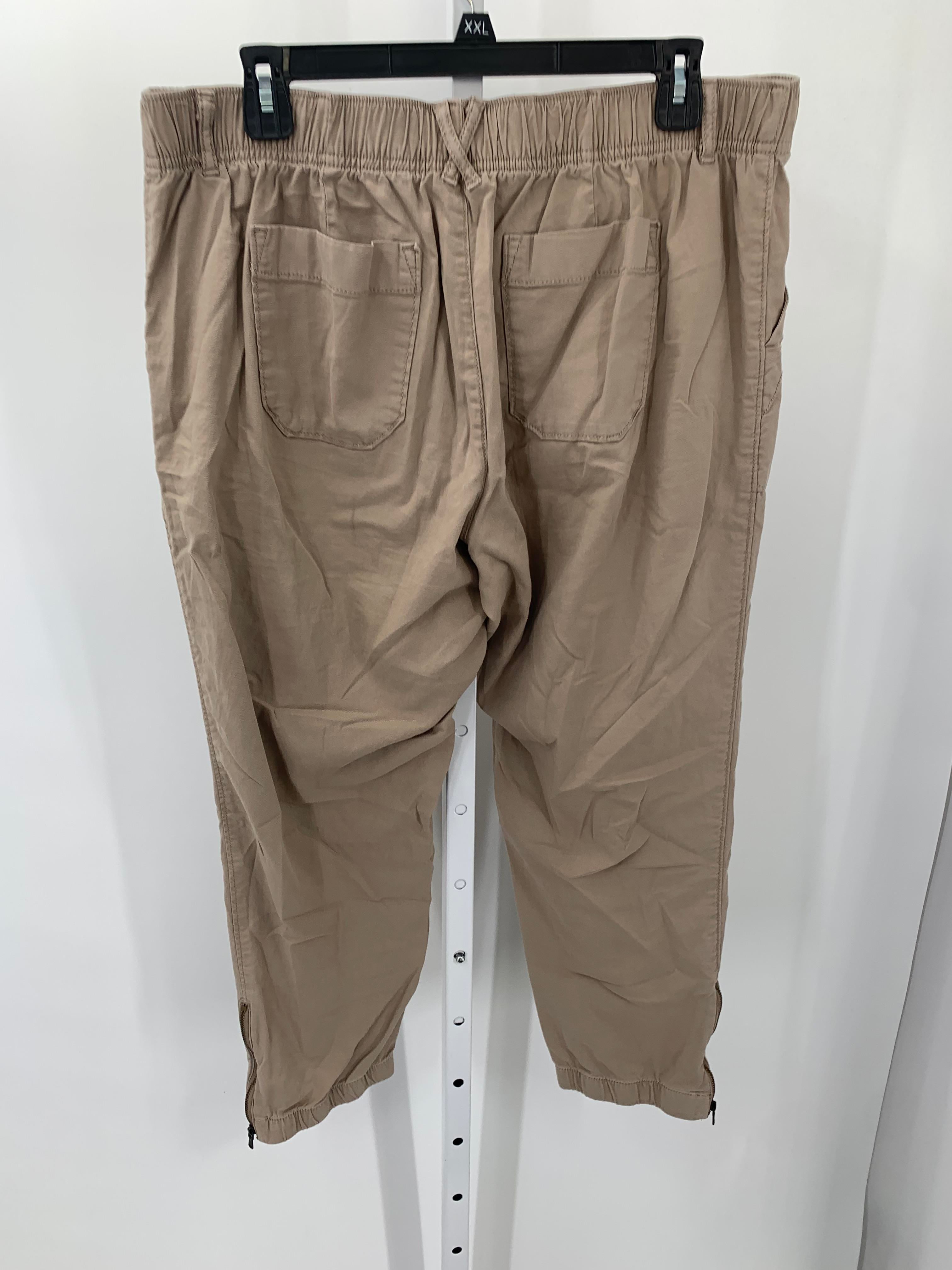 Sonoma Size Large Petite Petite Pants
