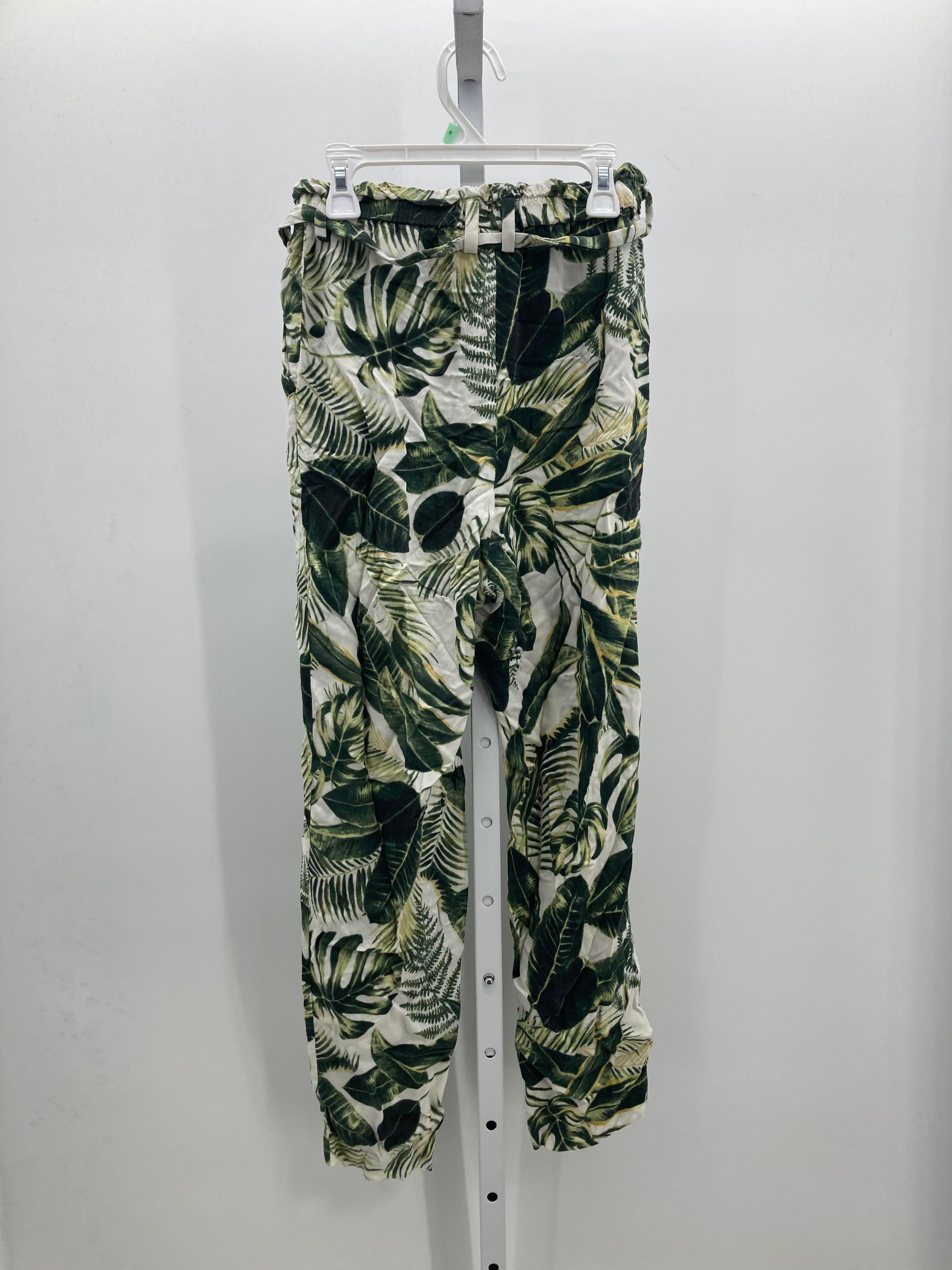 H&M Size 2 Misses Pants