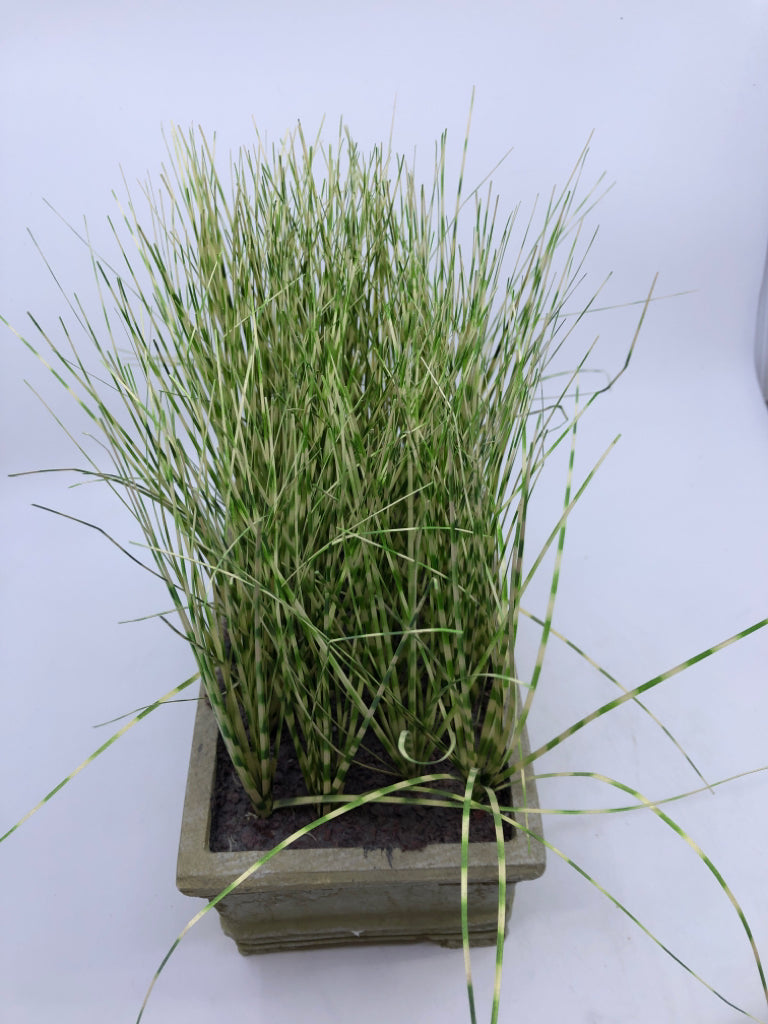 FAUX ZEBRA GRASS IN GREEN PLANTER.