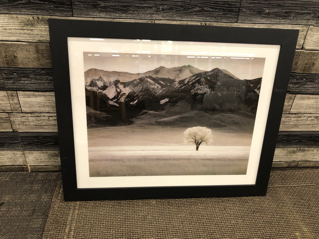 B&W SOLITARY TREE FRAMED PRINT.