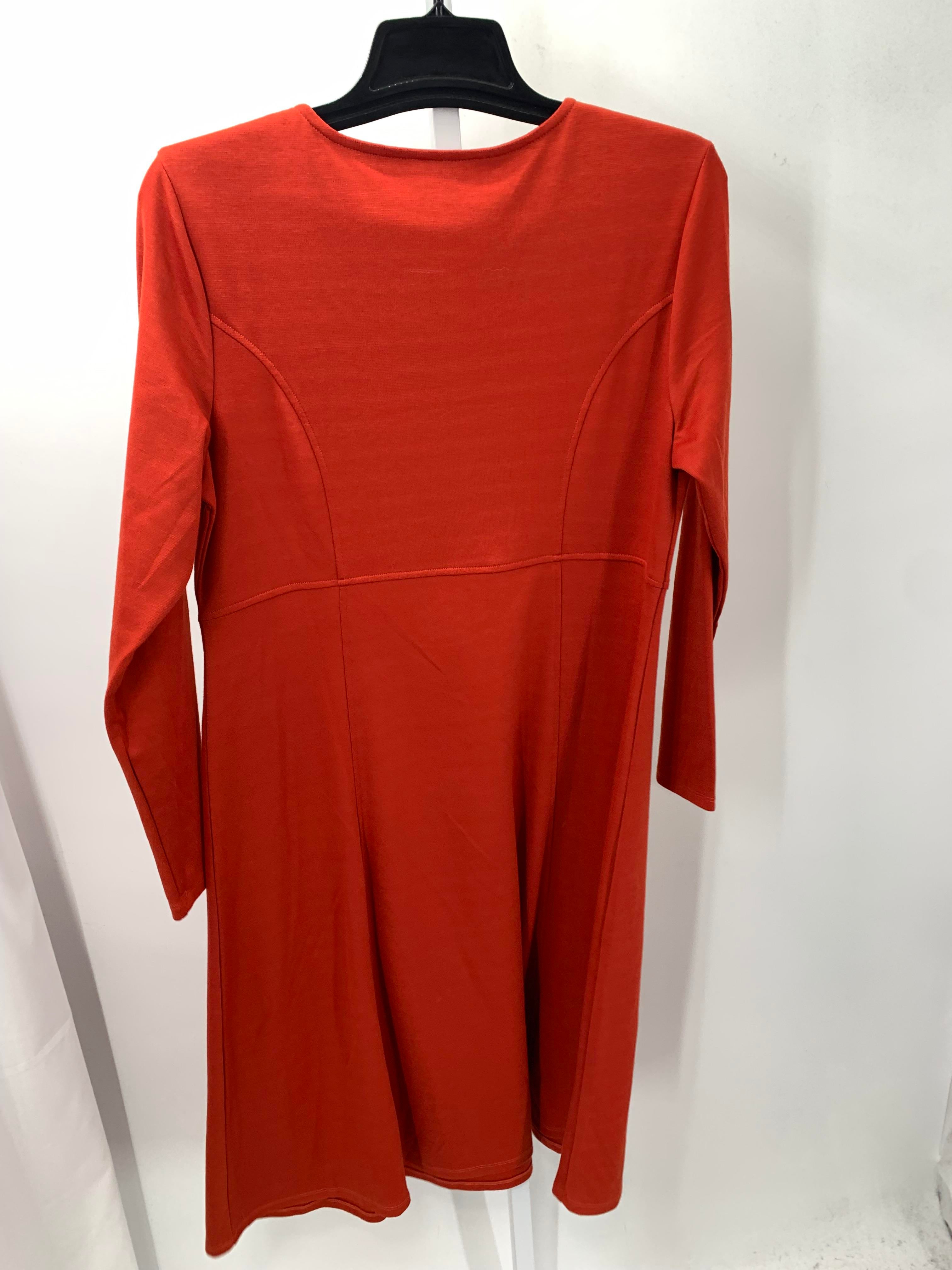 Size Large Misses Long Sleeve Dress