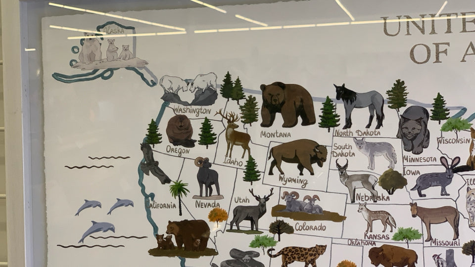 WHITE FRAME USA MAP WITH ANIMALS.