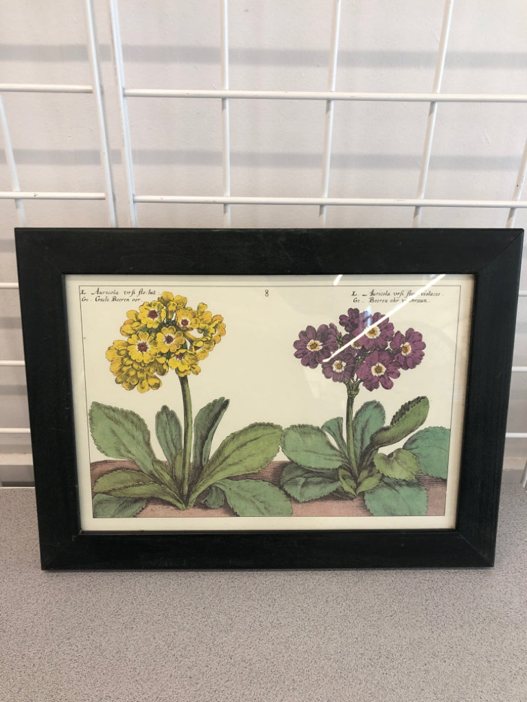 AURICOLA FLOWERS PRINT IN GREEN WOOD FRAME.