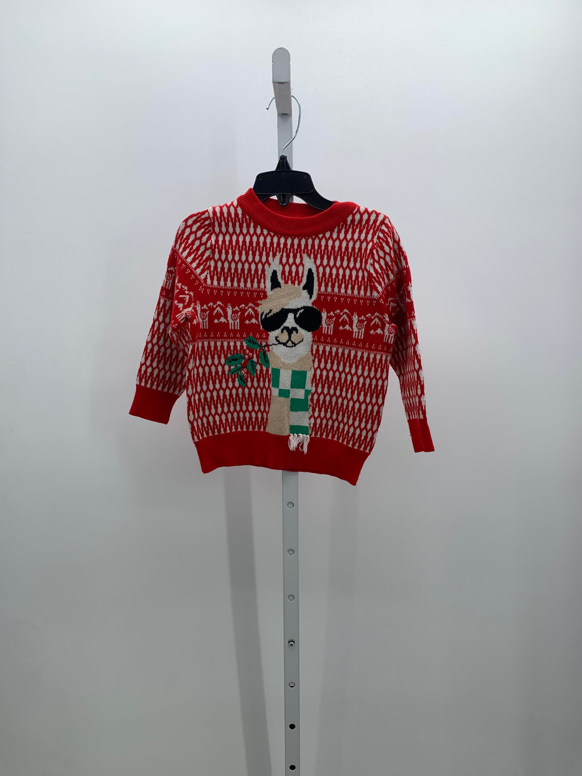 LONG SLV SWEATER LLAMA.