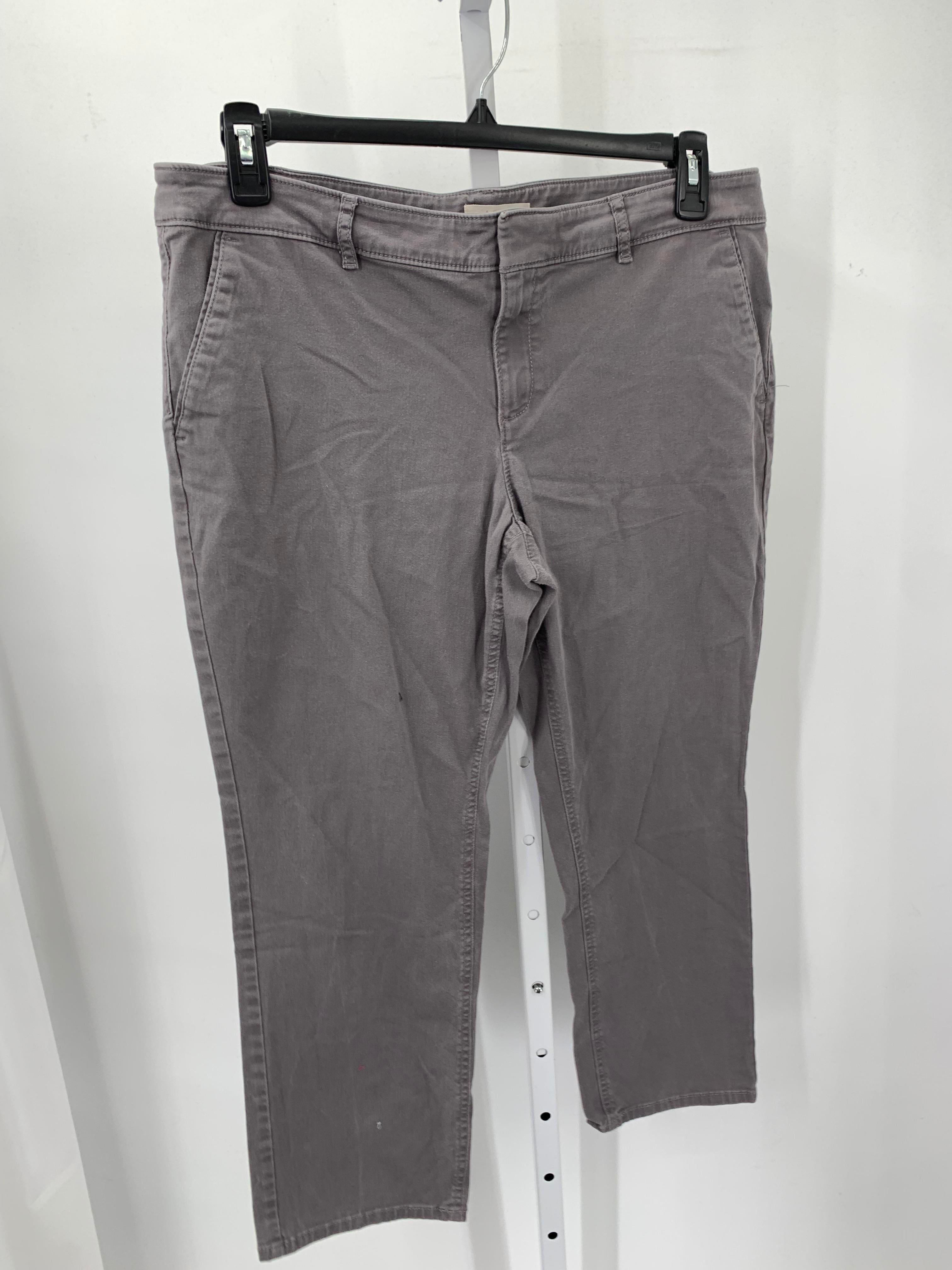 Loft Size 14 Petite Petite Pants