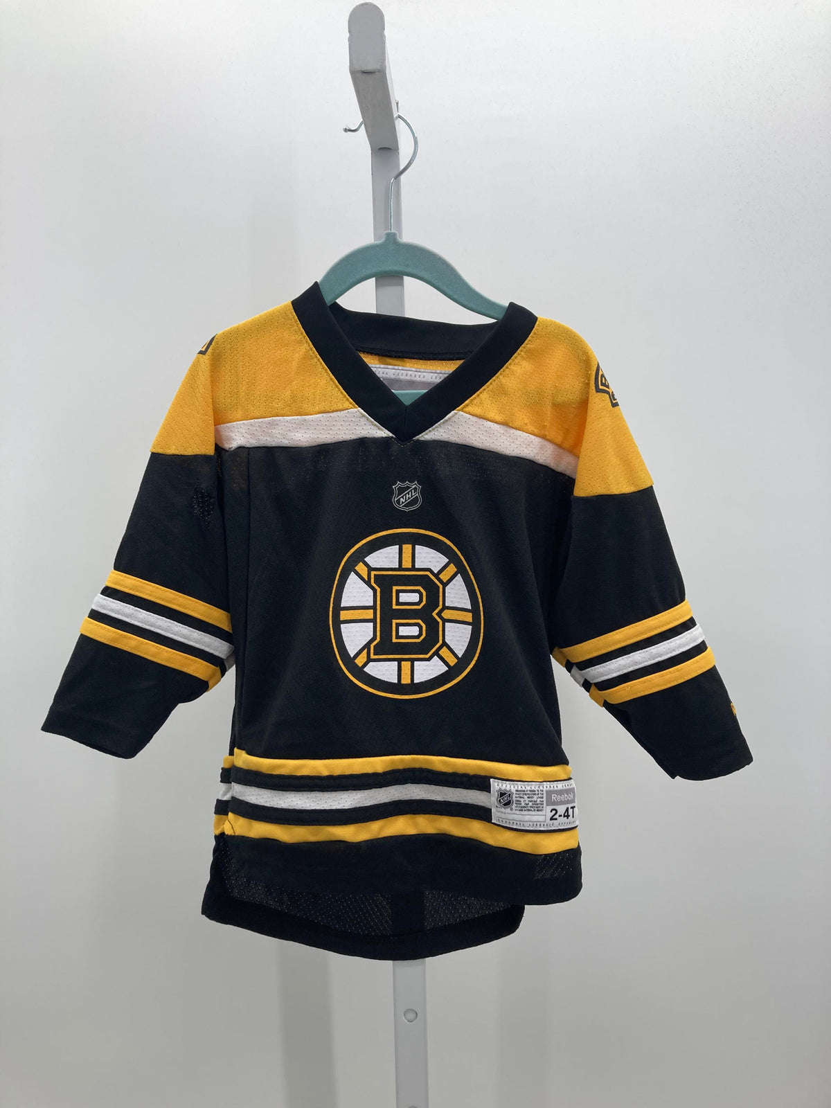 BOSTON BRUINS
