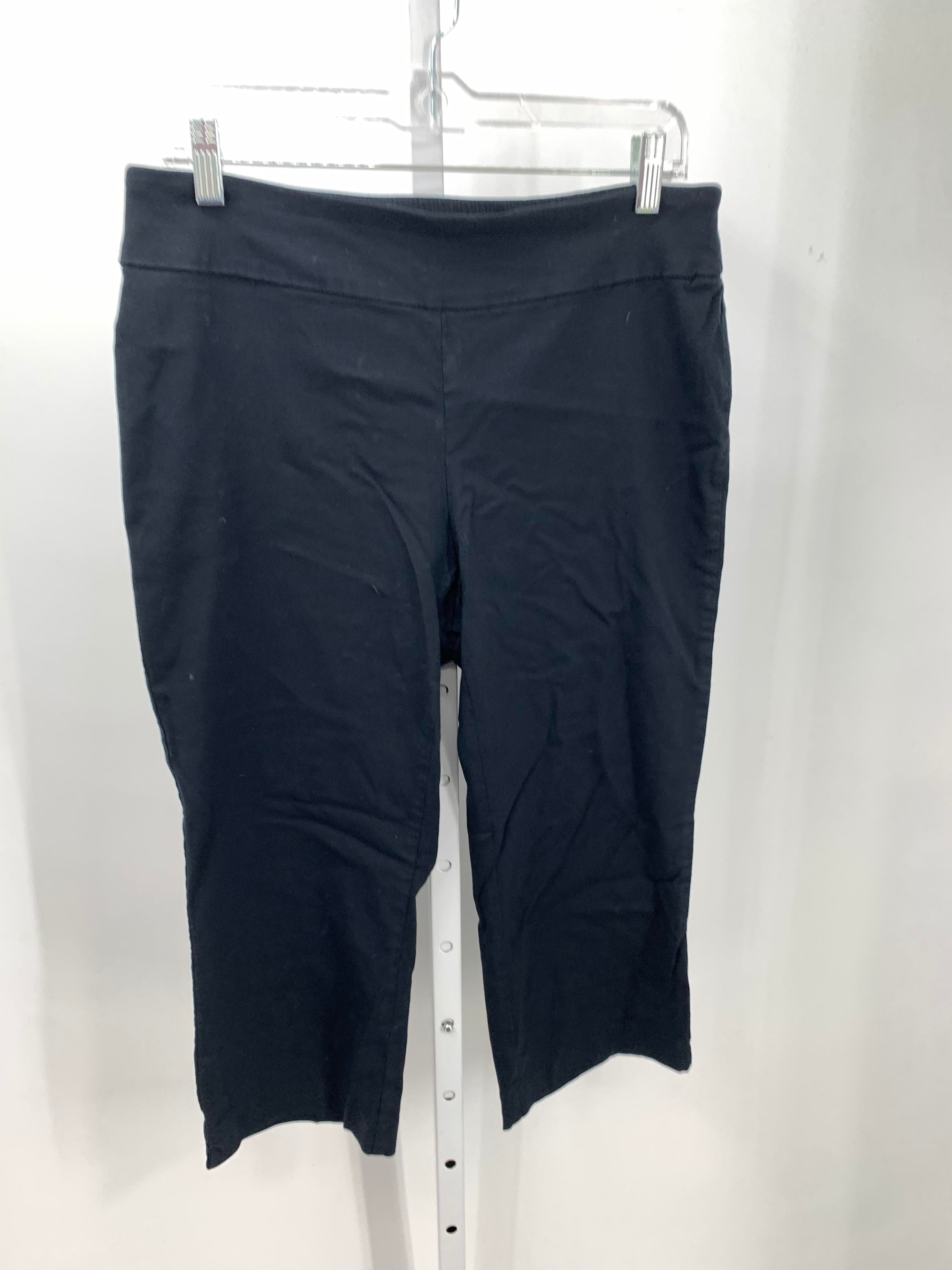 Briggs Size 10 Misses Capri Pants