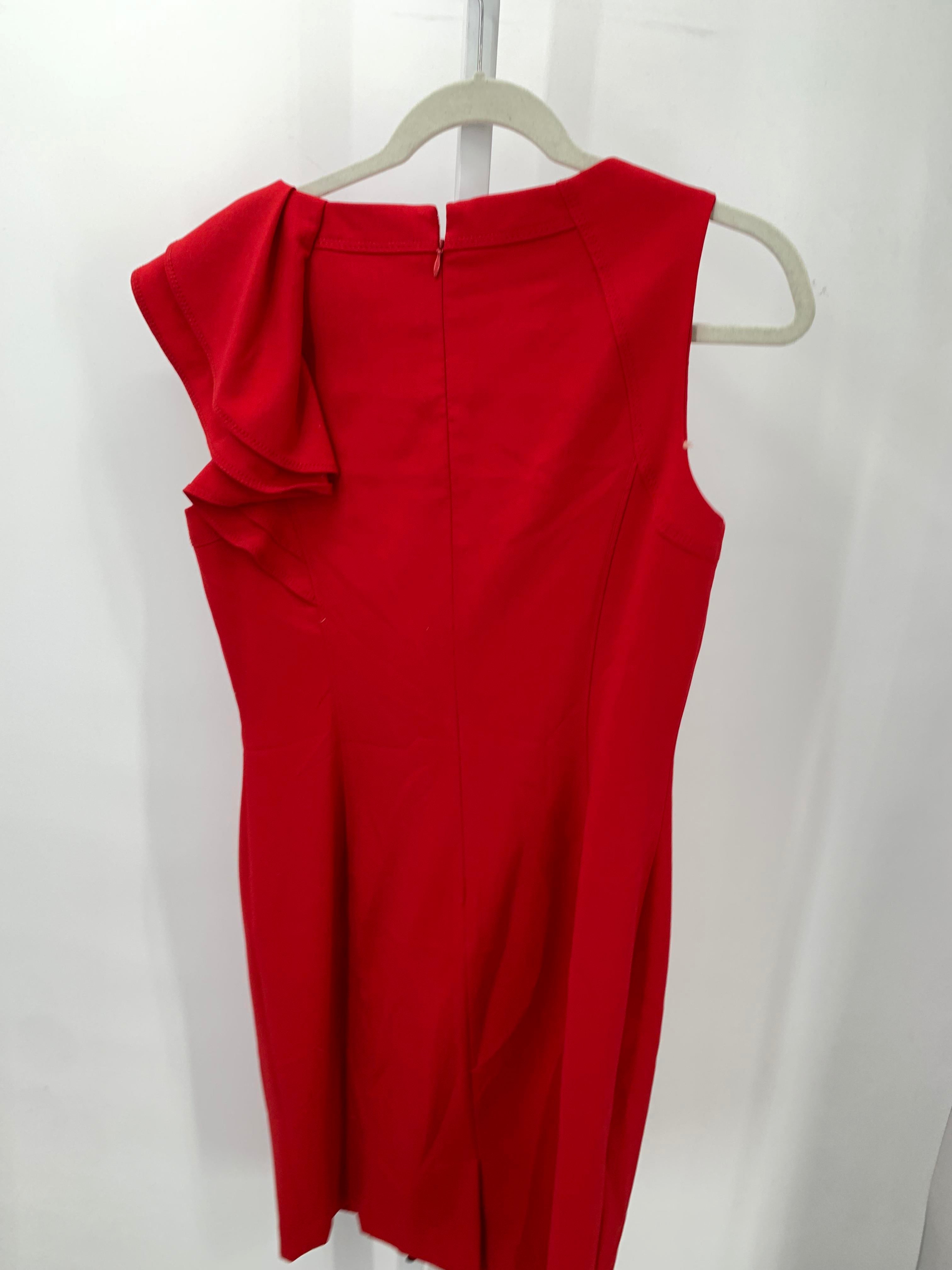 Calvin Klein Size 10 Misses Sleeveless Dress