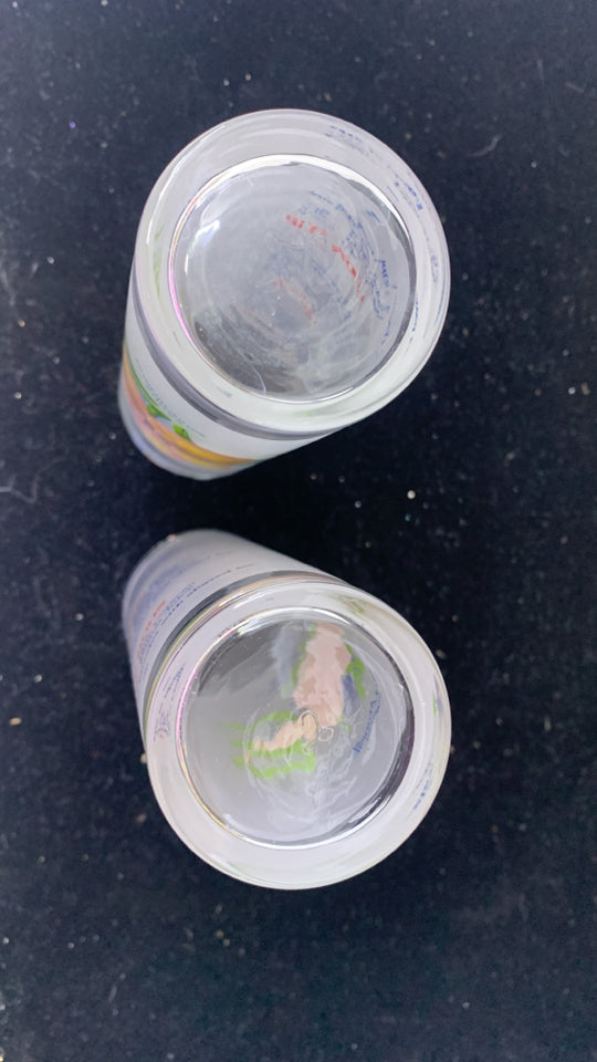 2 FLOWER FROSTED HIGHBALL GLASSES W/DRINK RECIPES.