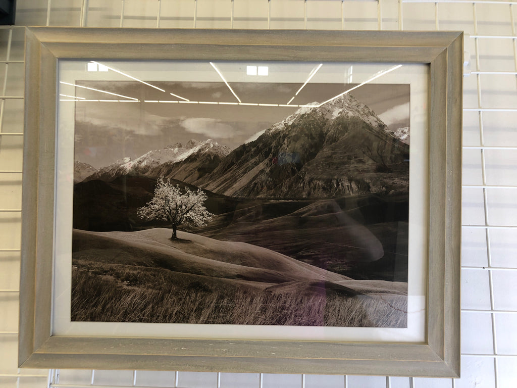 BLACK/WHITE FIELD LANDSCAPE W/ MOUNTAIN IN BACKGROUND.