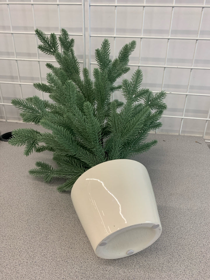 FAUX SPRUCE TREE IN WHITE POT.