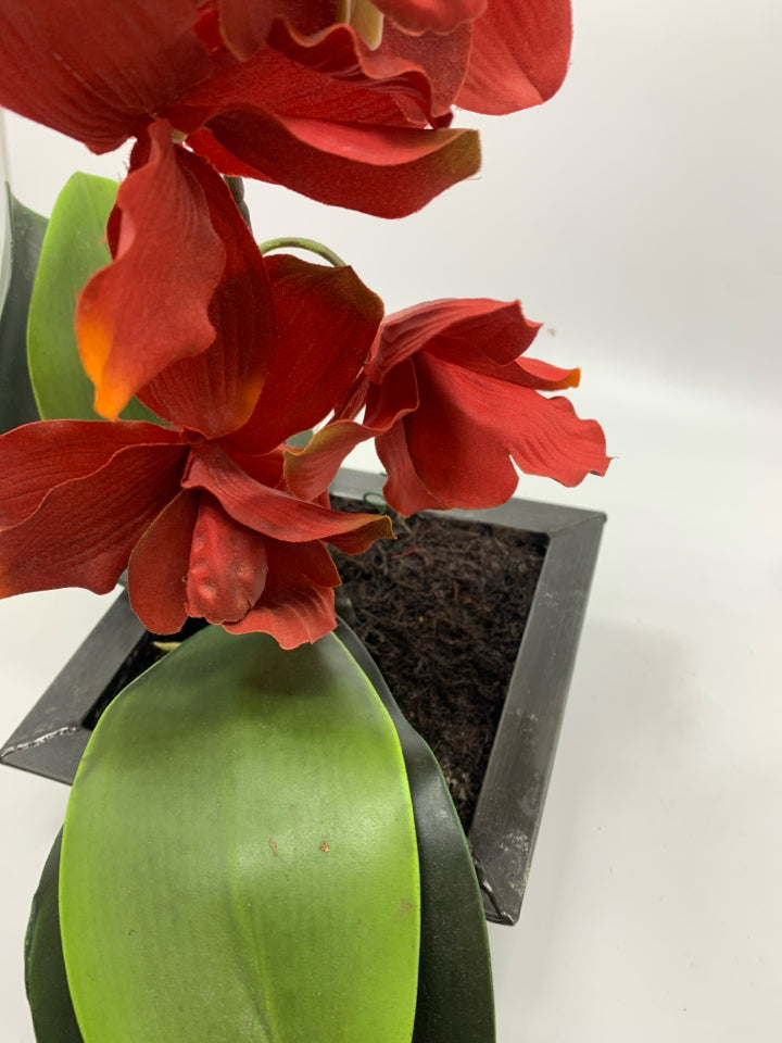 FAUX RED ORCHID.