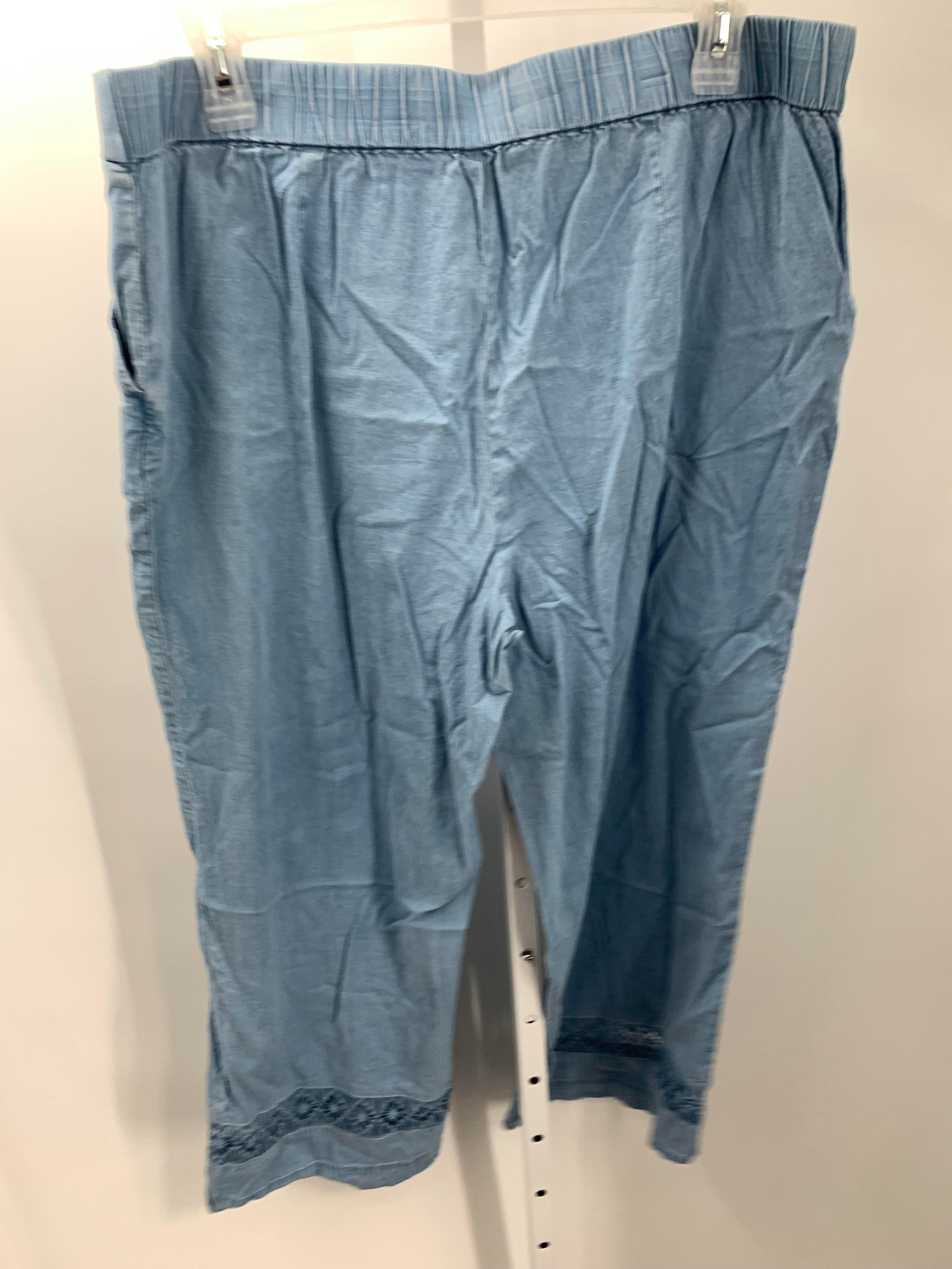 ISSI Size 1X Womens Pants