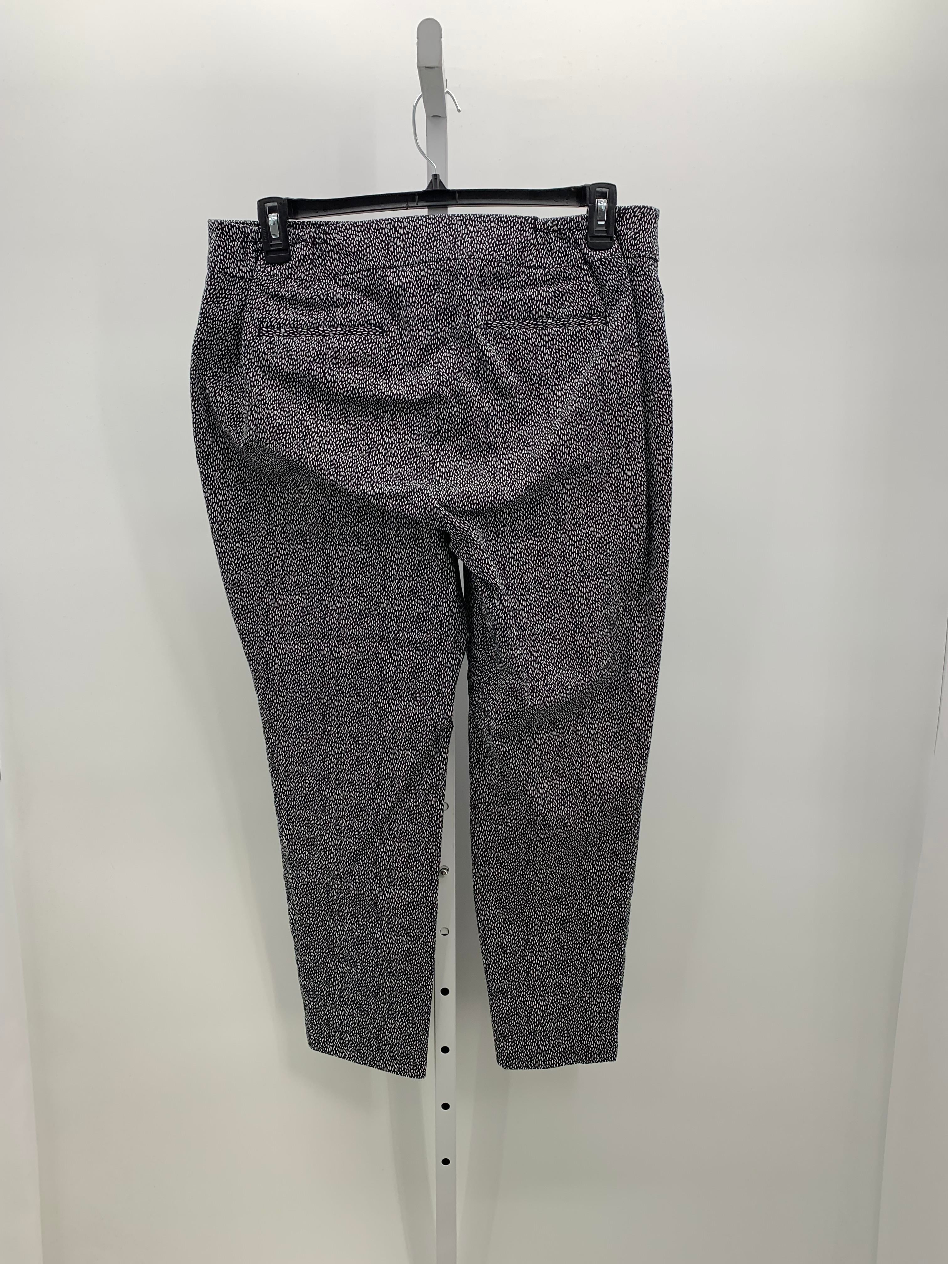 Talbots Size 16 W Womens Pants