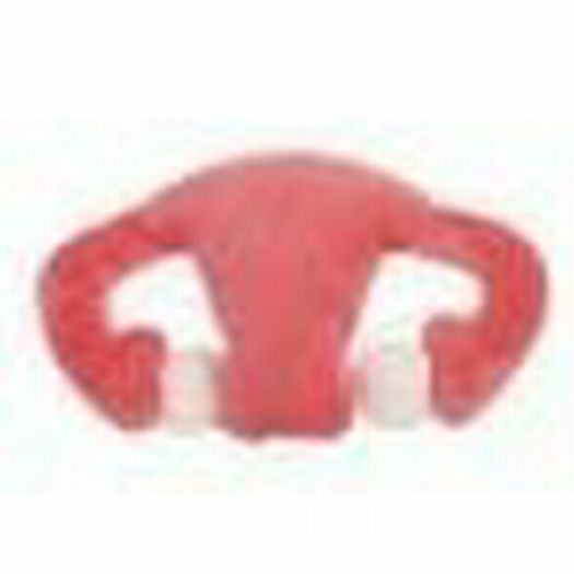 GIANT Microbes Uterus