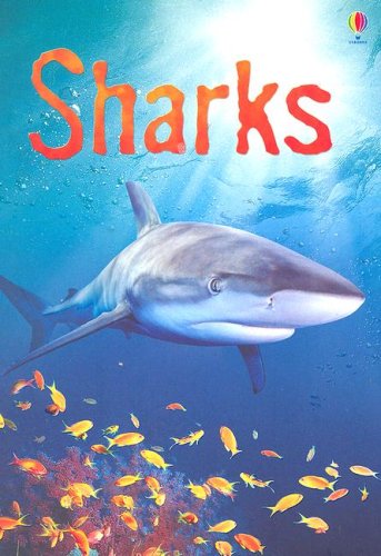 Sharks (Usborne Beginners) - Catriona Clarke